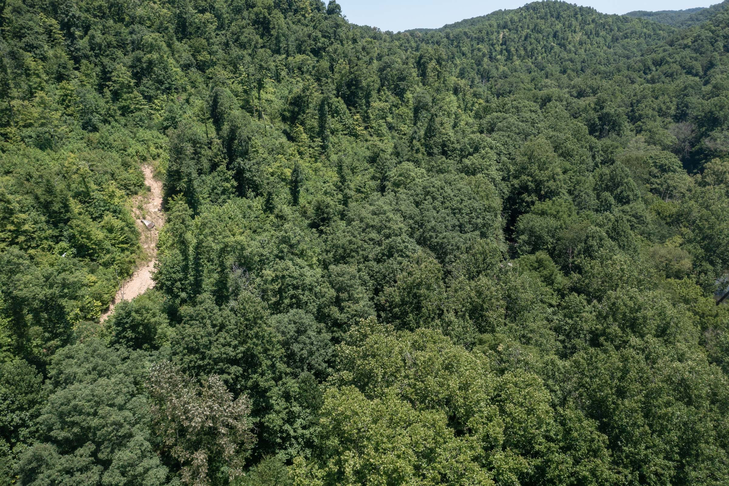 River’s Edge Tract 30 photo 6