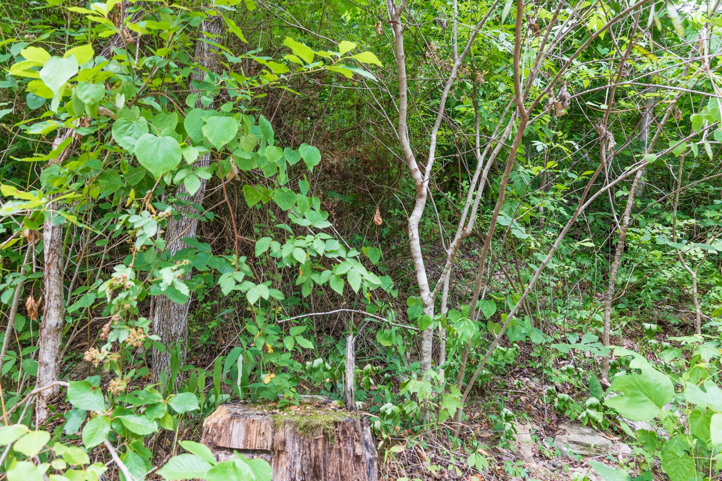 River’s Edge Tract 30 photo 2