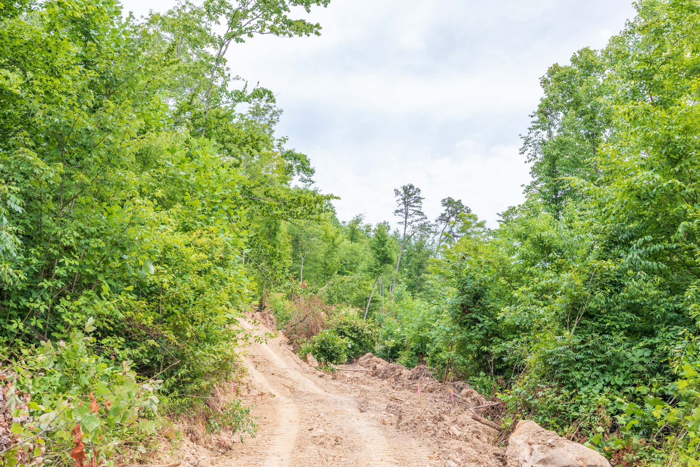River’s Edge Tract 30 photo 5