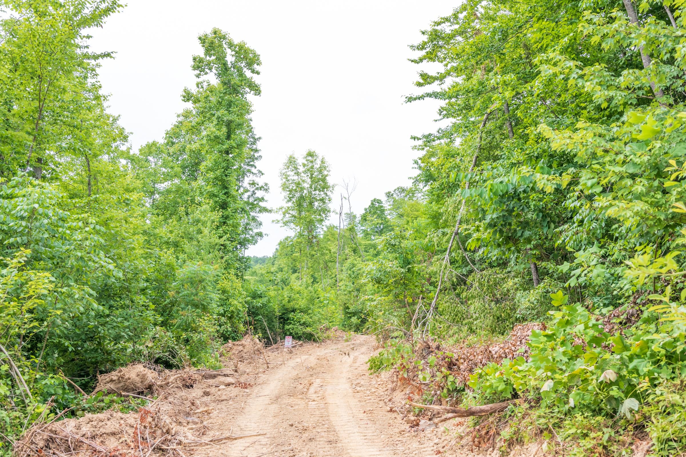 River’s Edge Tract 30 photo 1