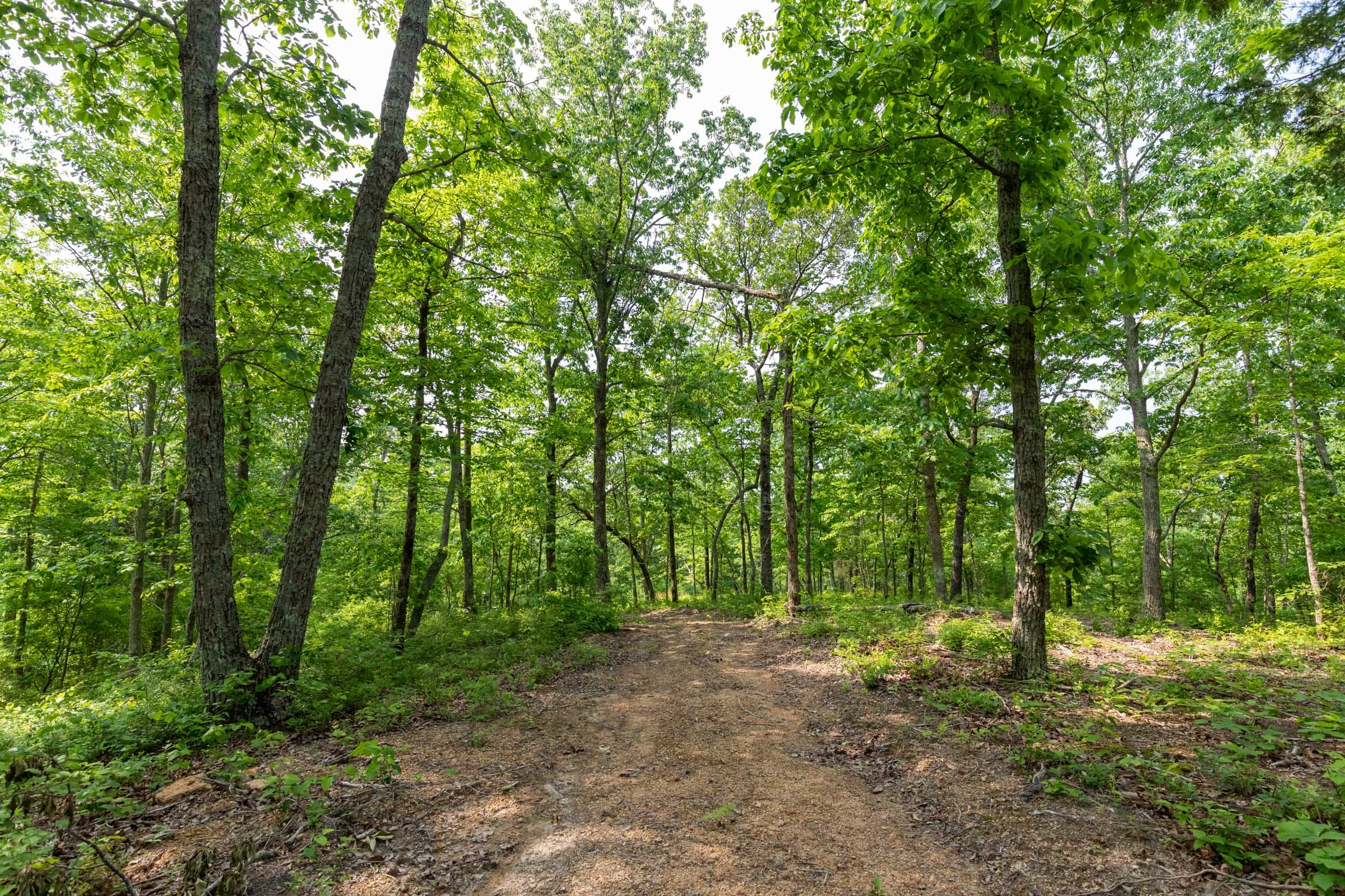 Cedar Creek Tract 3 photo 1