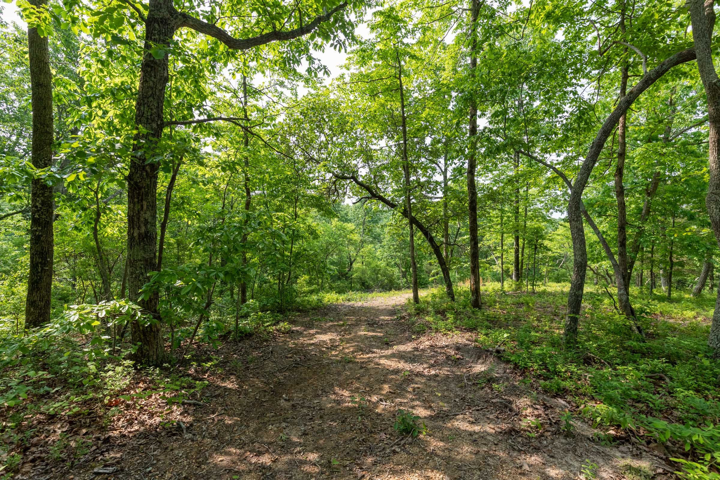 Cedar Creek Tract 3 photo 6