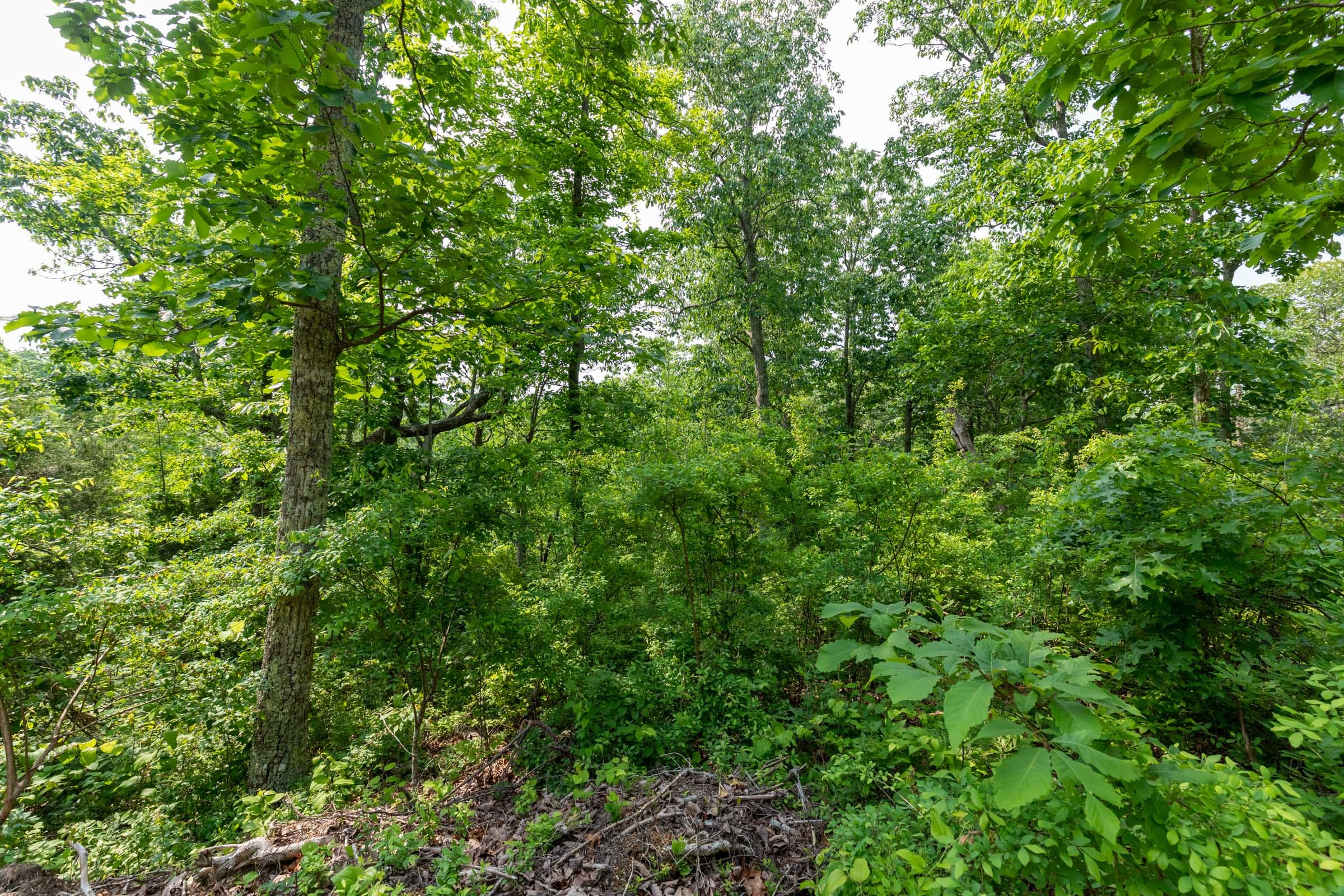 Cedar Creek Tract 3 photo 8