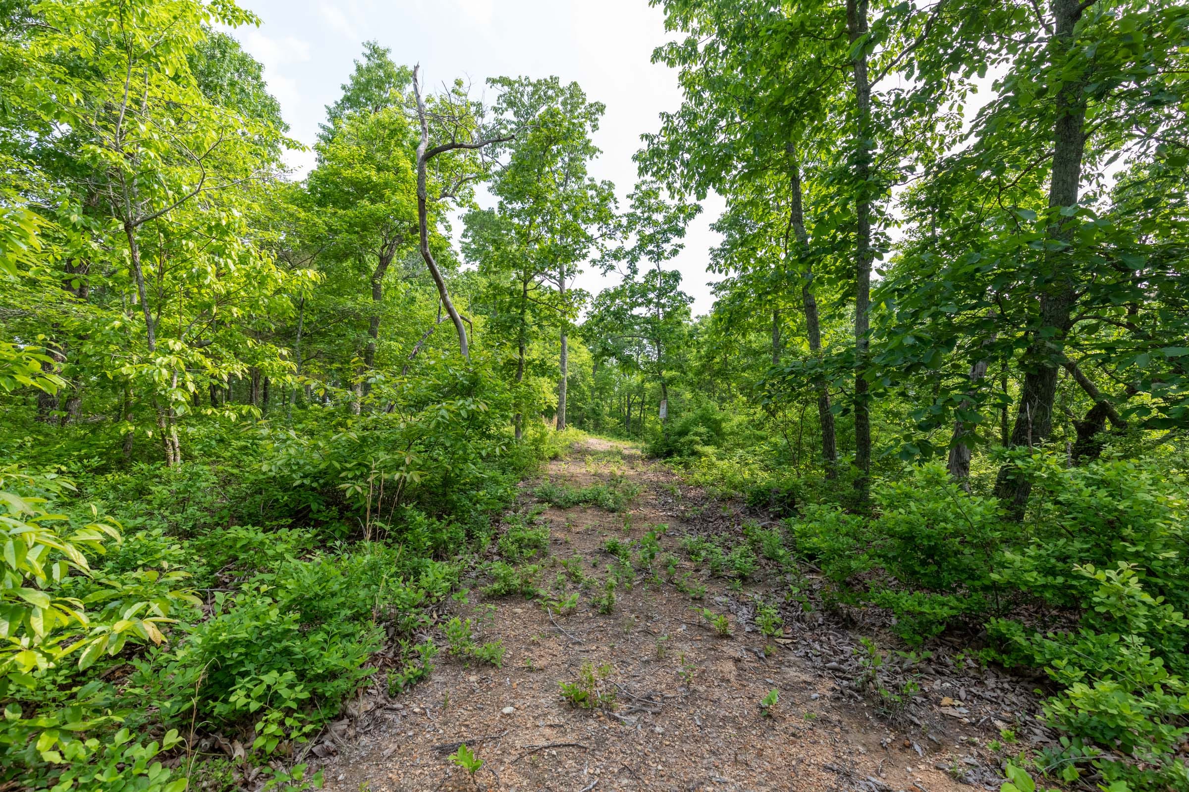 Cedar Creek Tract 3 photo 10