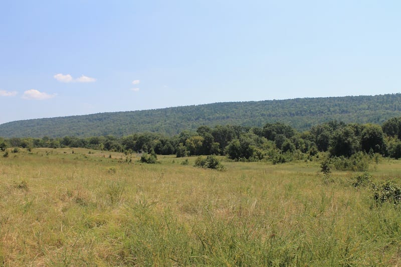 Daisy Meadows Tract 39 photo 2