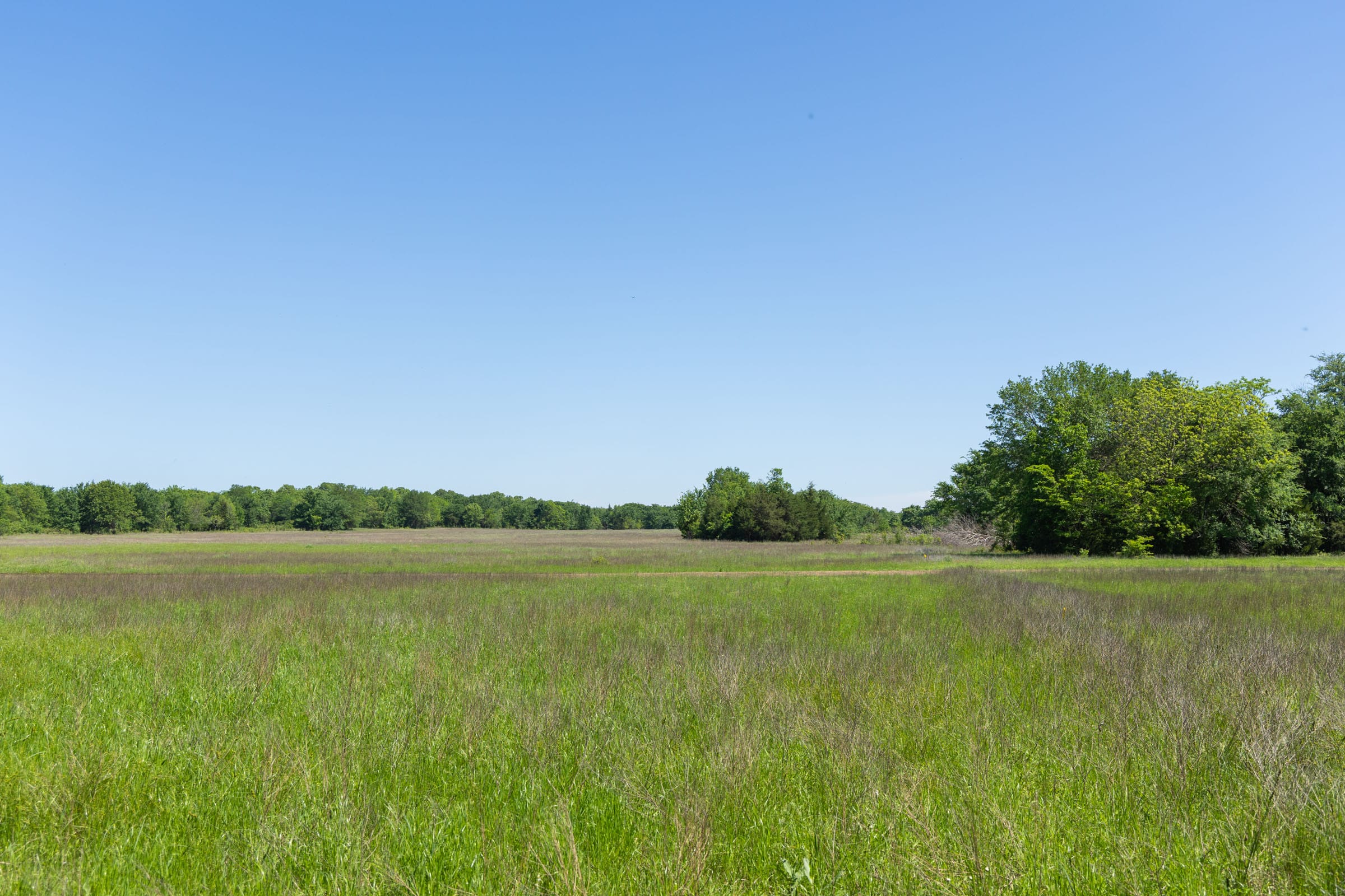 Harmony Hills Tract 33 photo 14