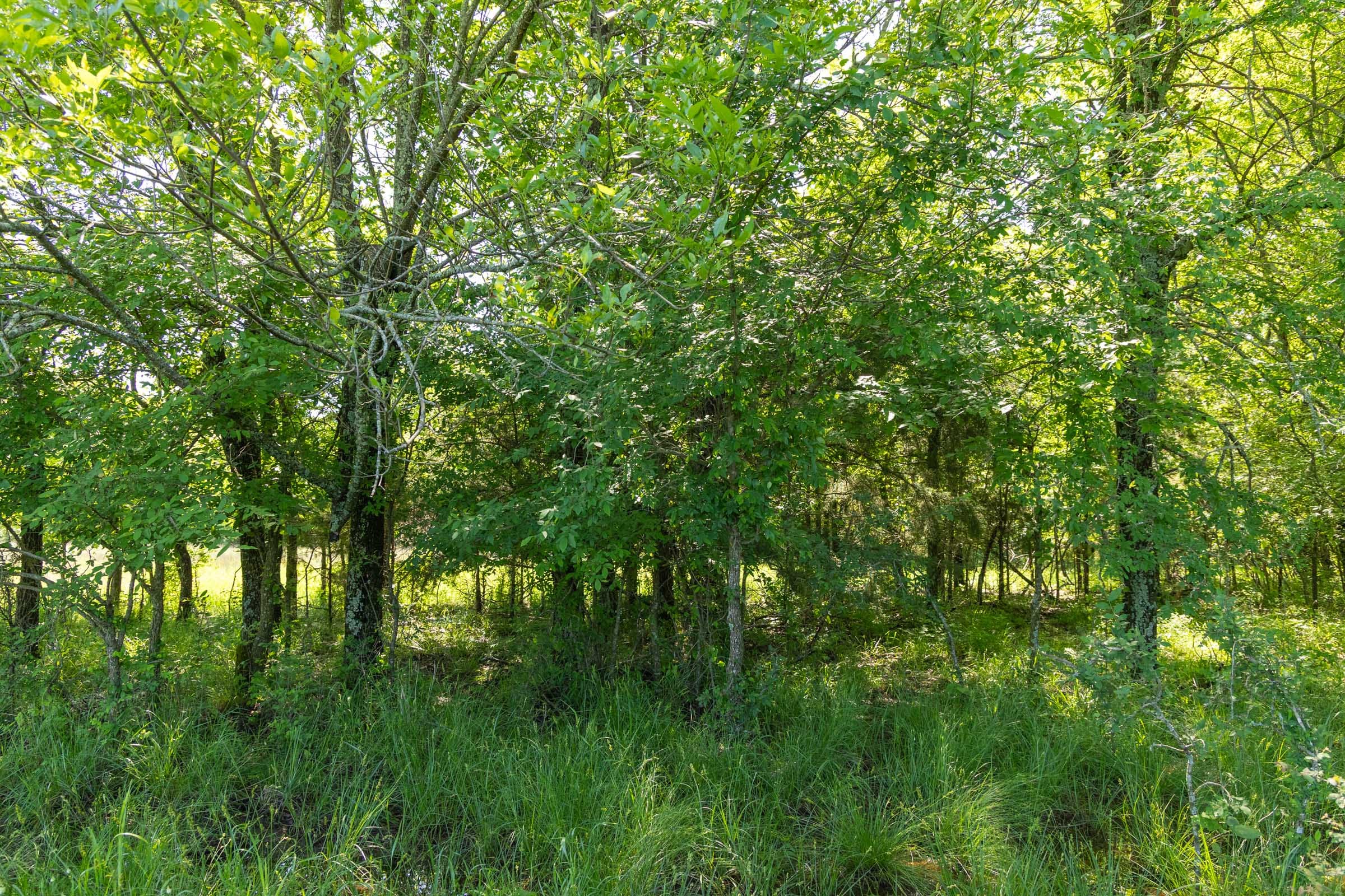 Harmony Hills Tract 33 photo 11