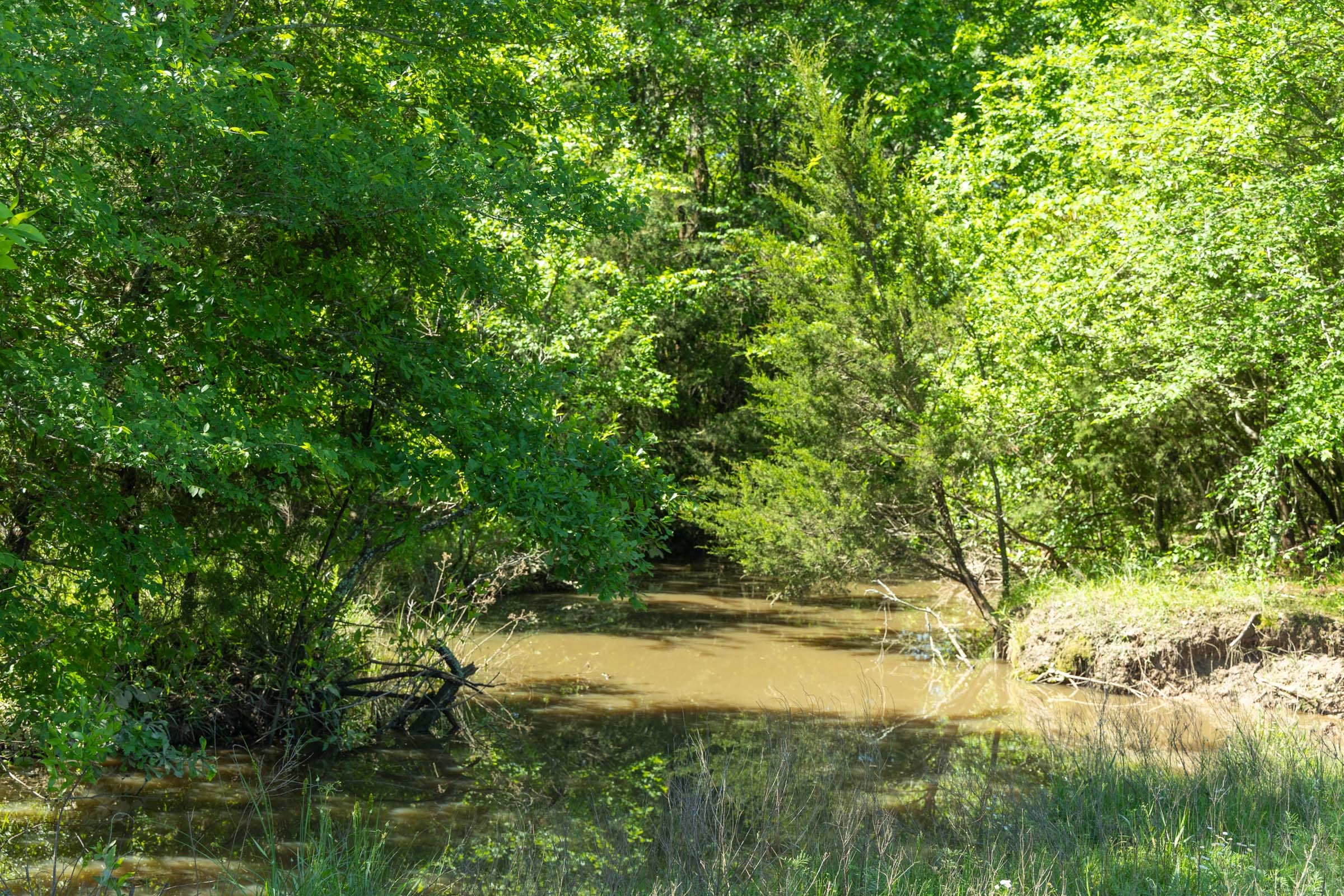 Harmony Hills Tract 33 photo 10
