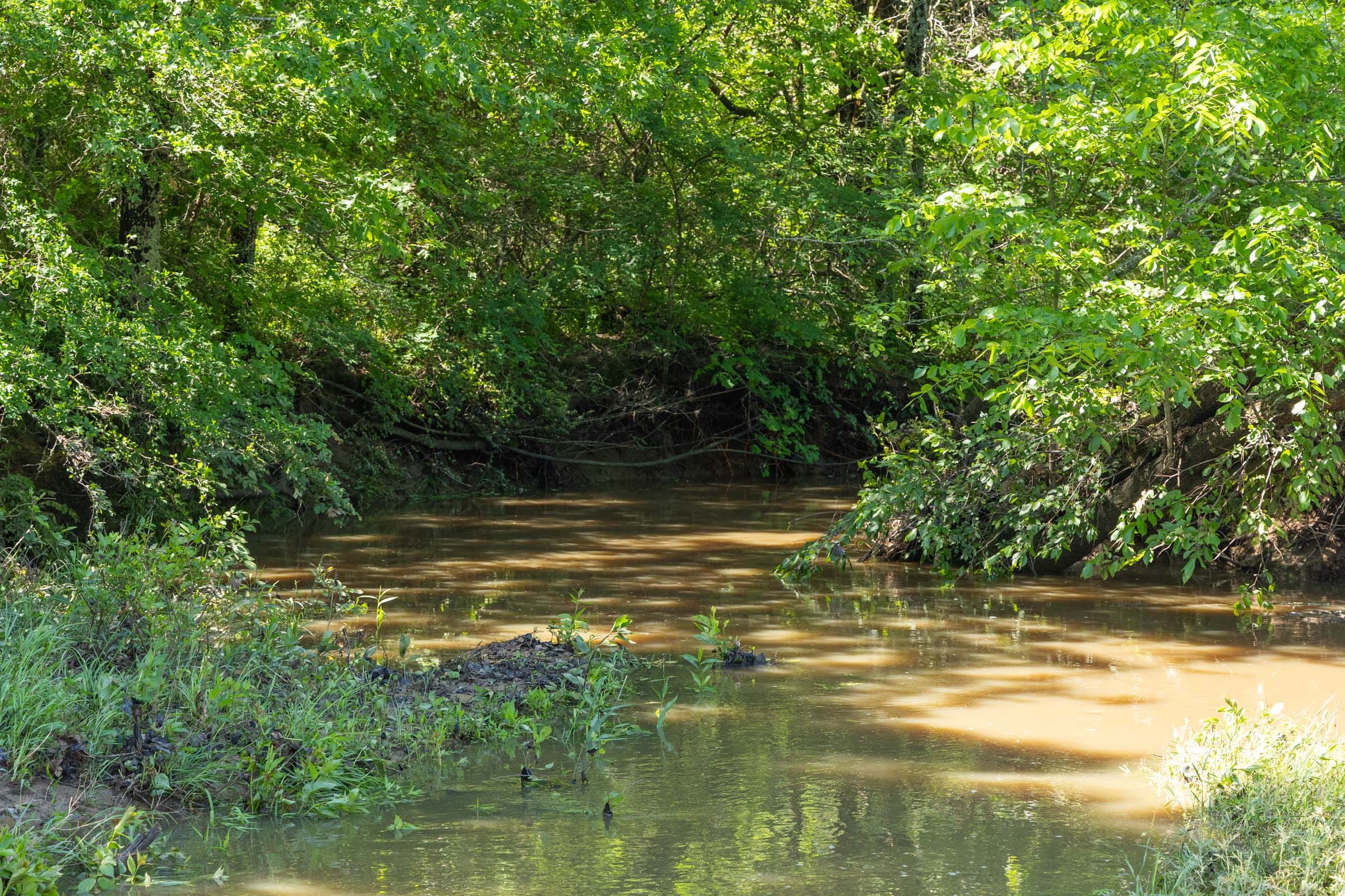 Harmony Hills Tract 33 photo 18