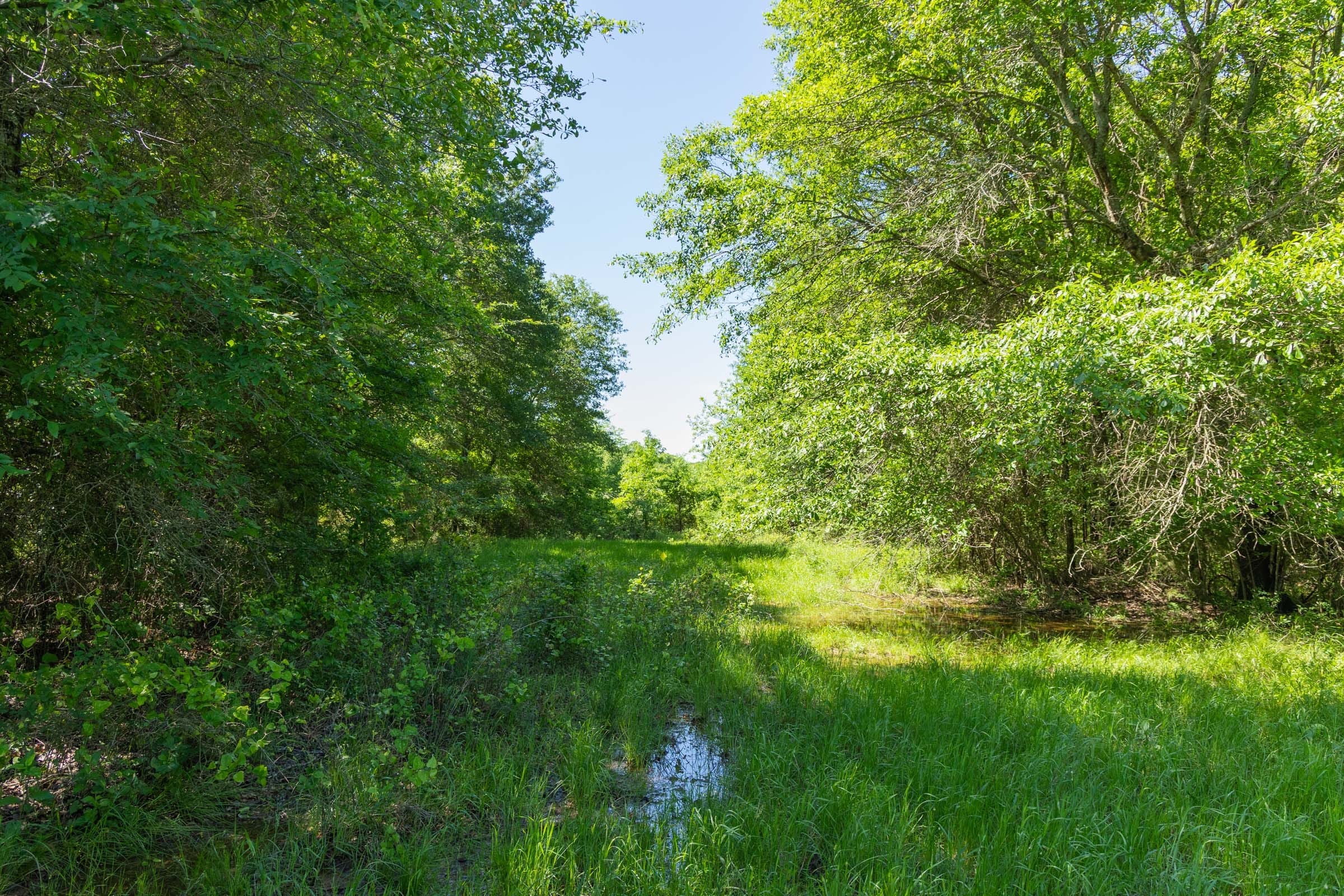 Harmony Hills Tract 33 photo 9