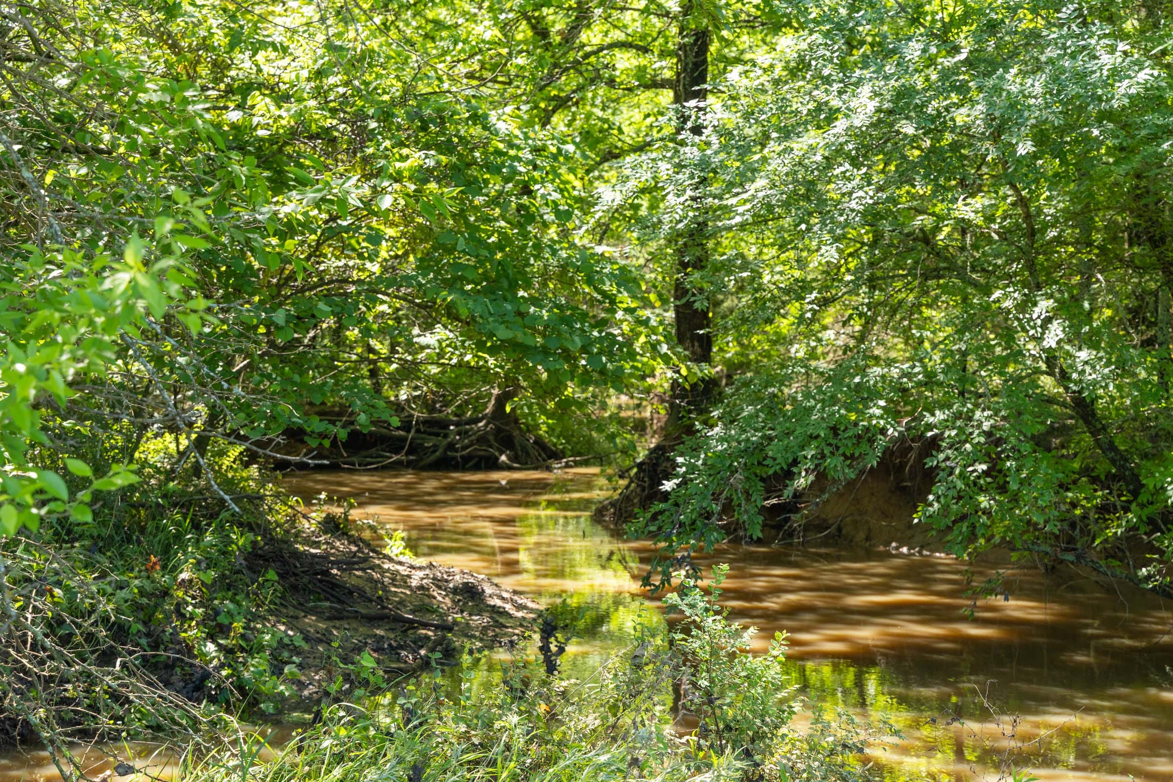 Harmony Hills Tract 33 photo 7