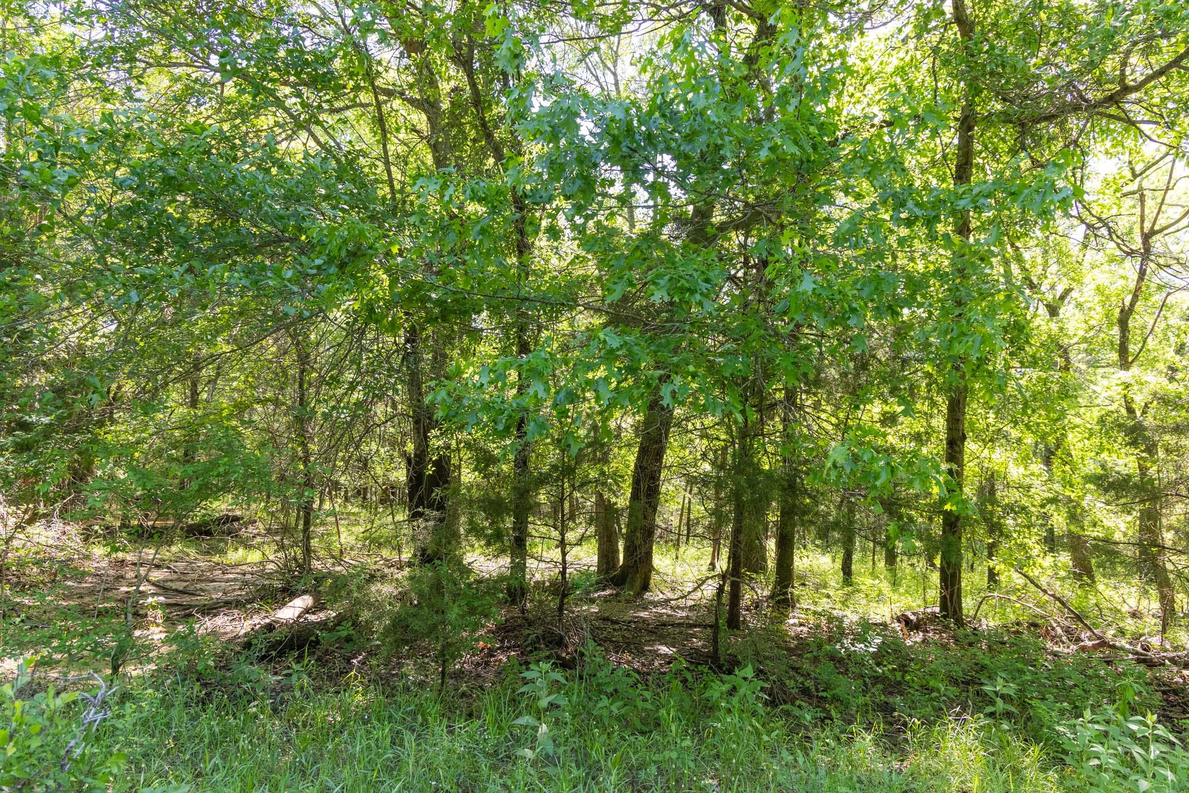 Harmony Hills Tract 33 photo 15