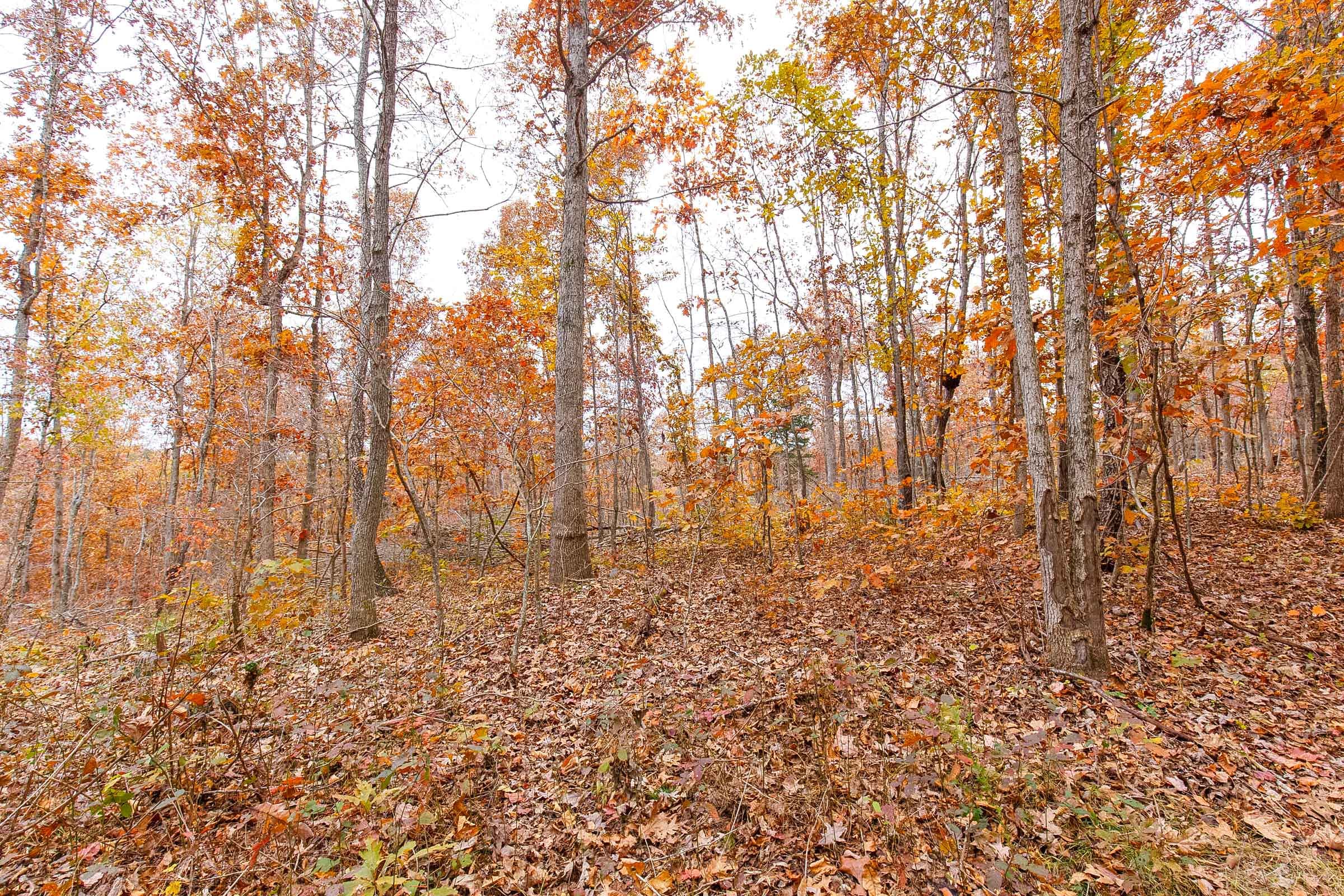 Hawkcrest Tract 5 photo 5