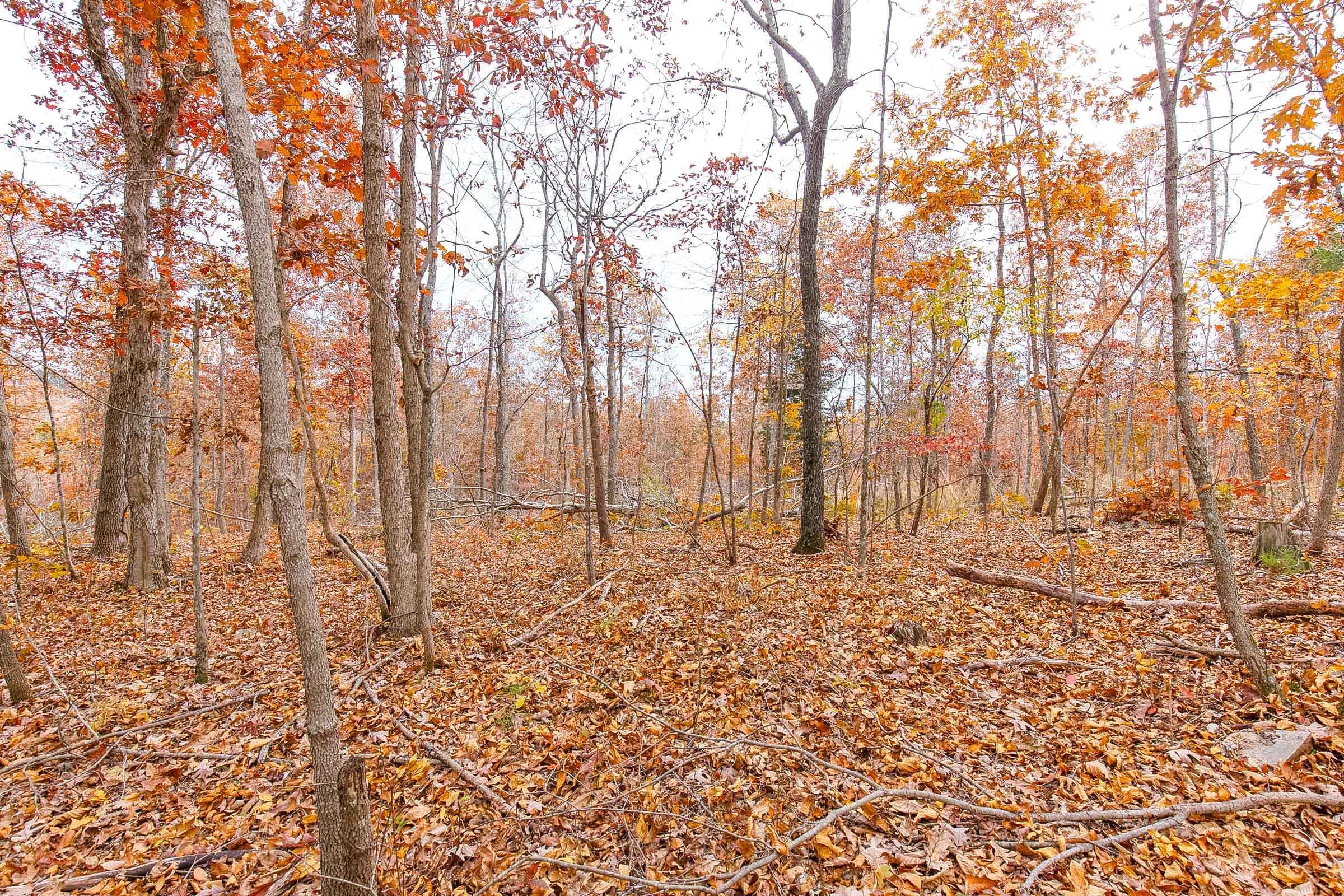 Hawkcrest Tract 5 photo 8