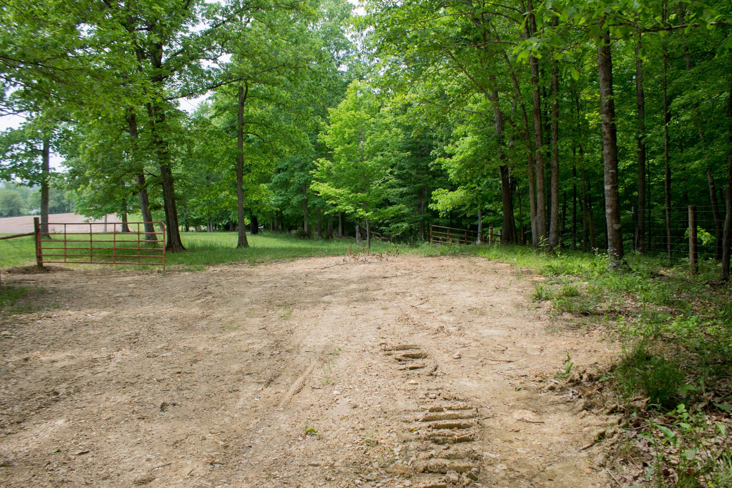Laurel Ridge Tract 1 photo 1