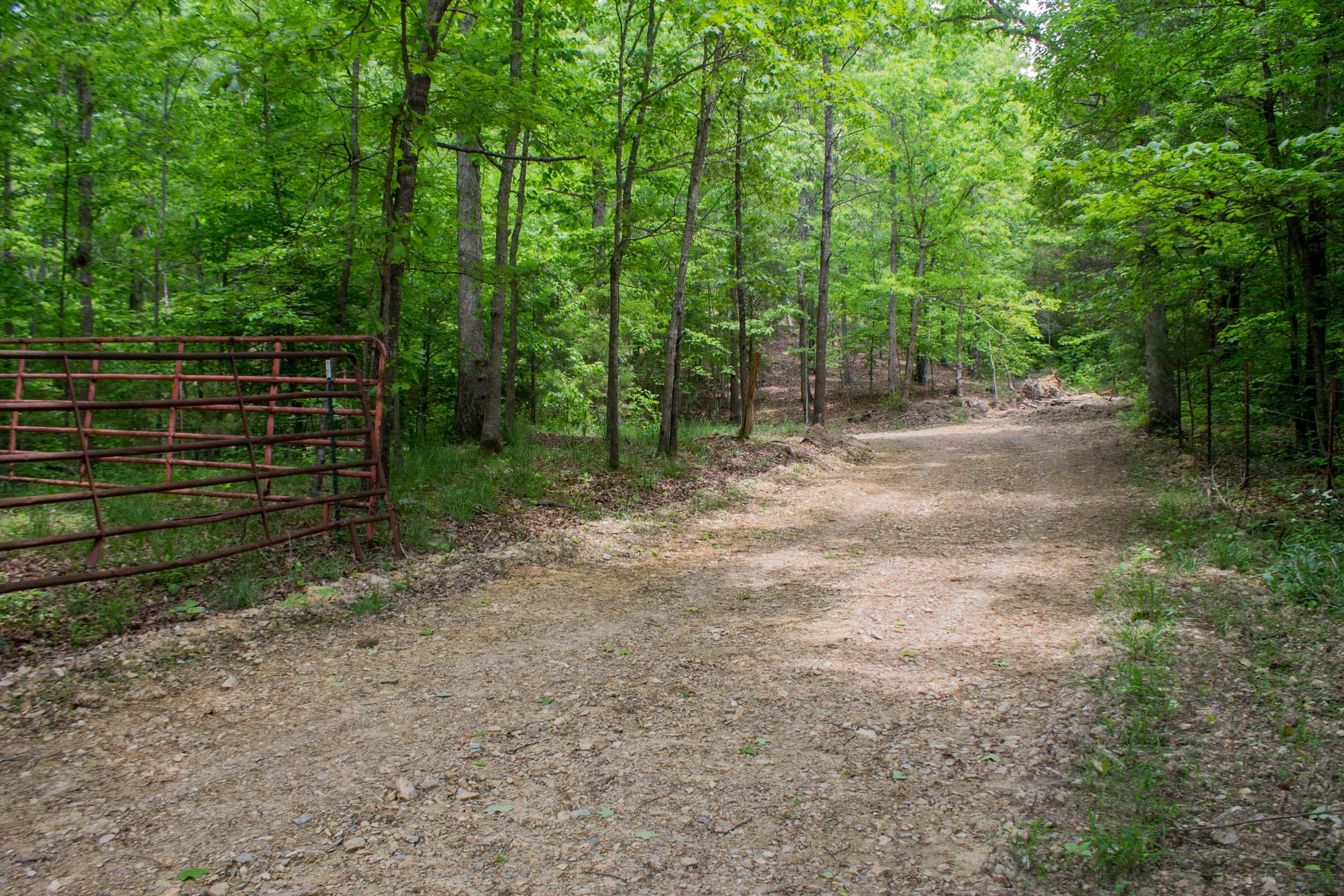 Laurel Ridge Tract 1 photo 2