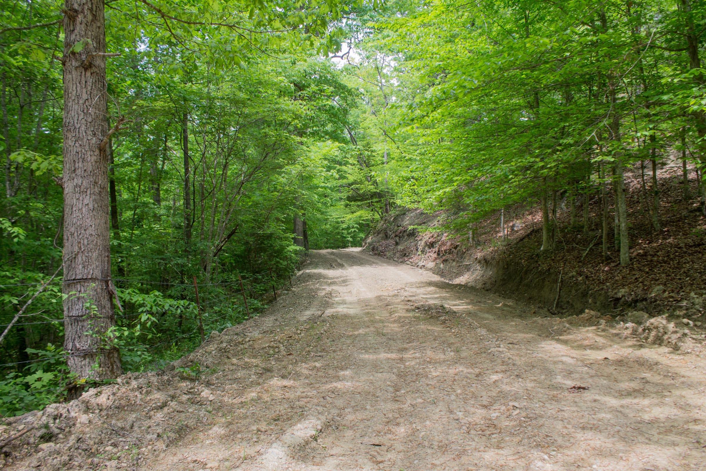 Laurel Ridge Tract 1 photo 5