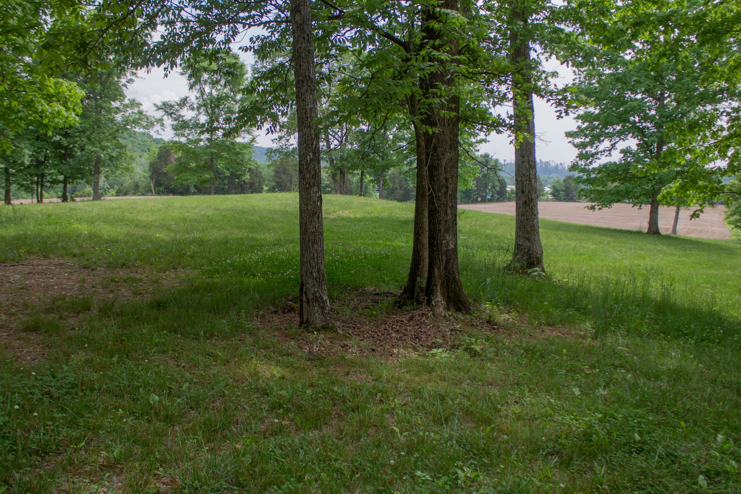 Laurel Ridge Tract 1 photo 15
