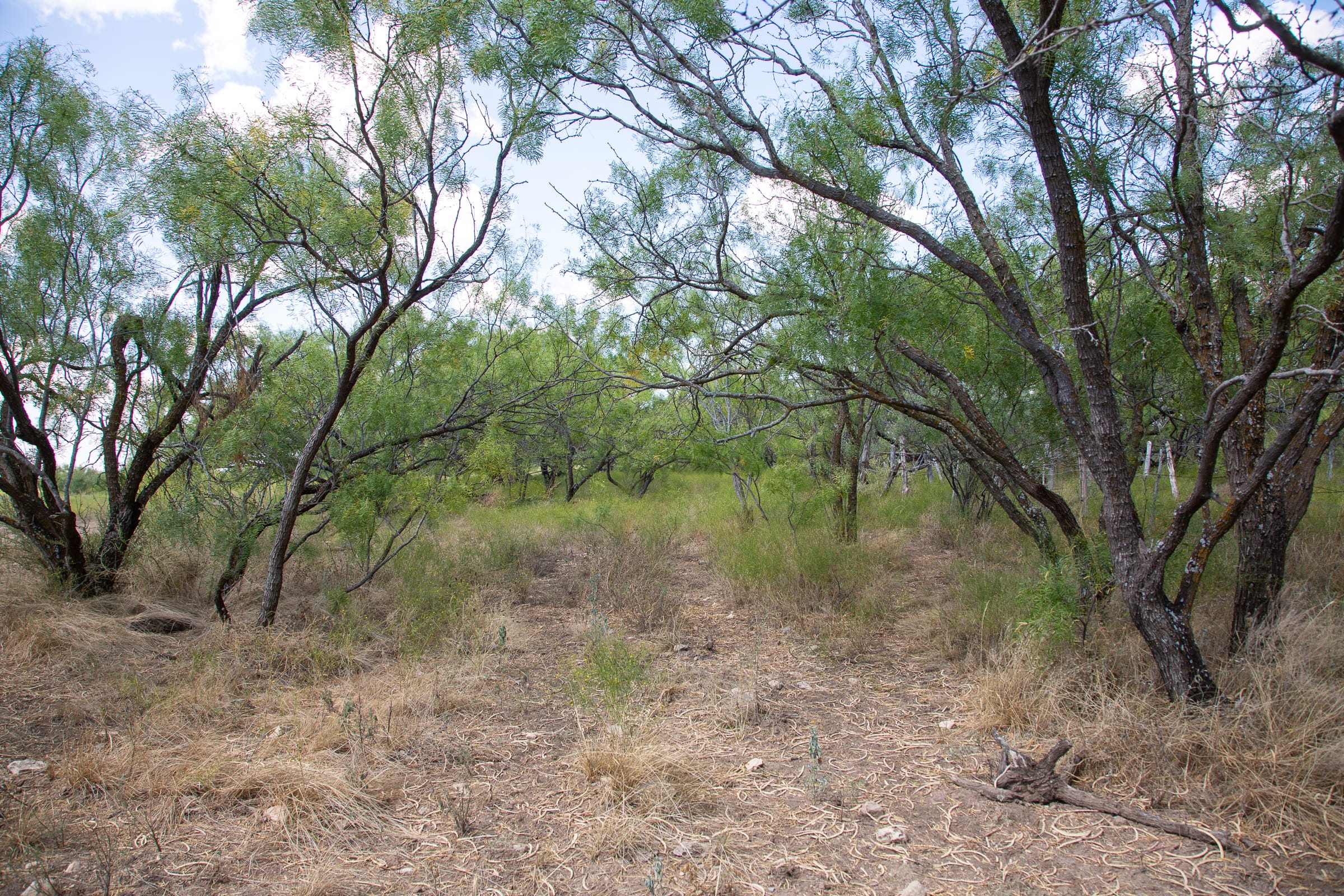 Hunter’s Ranch Tract 3 photo 5