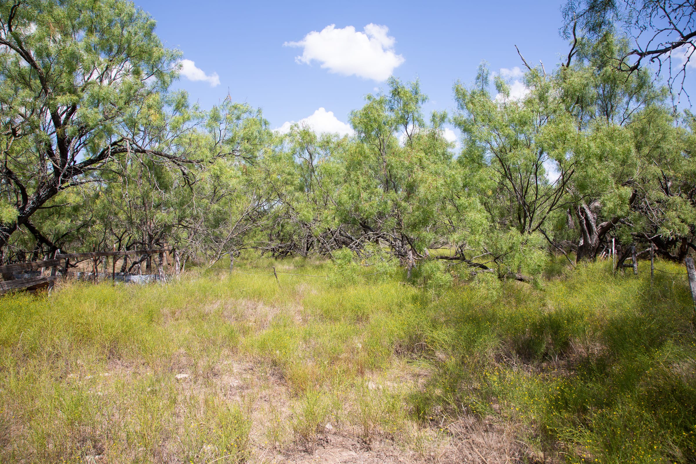 Hunter’s Ranch Tract 3 photo 8