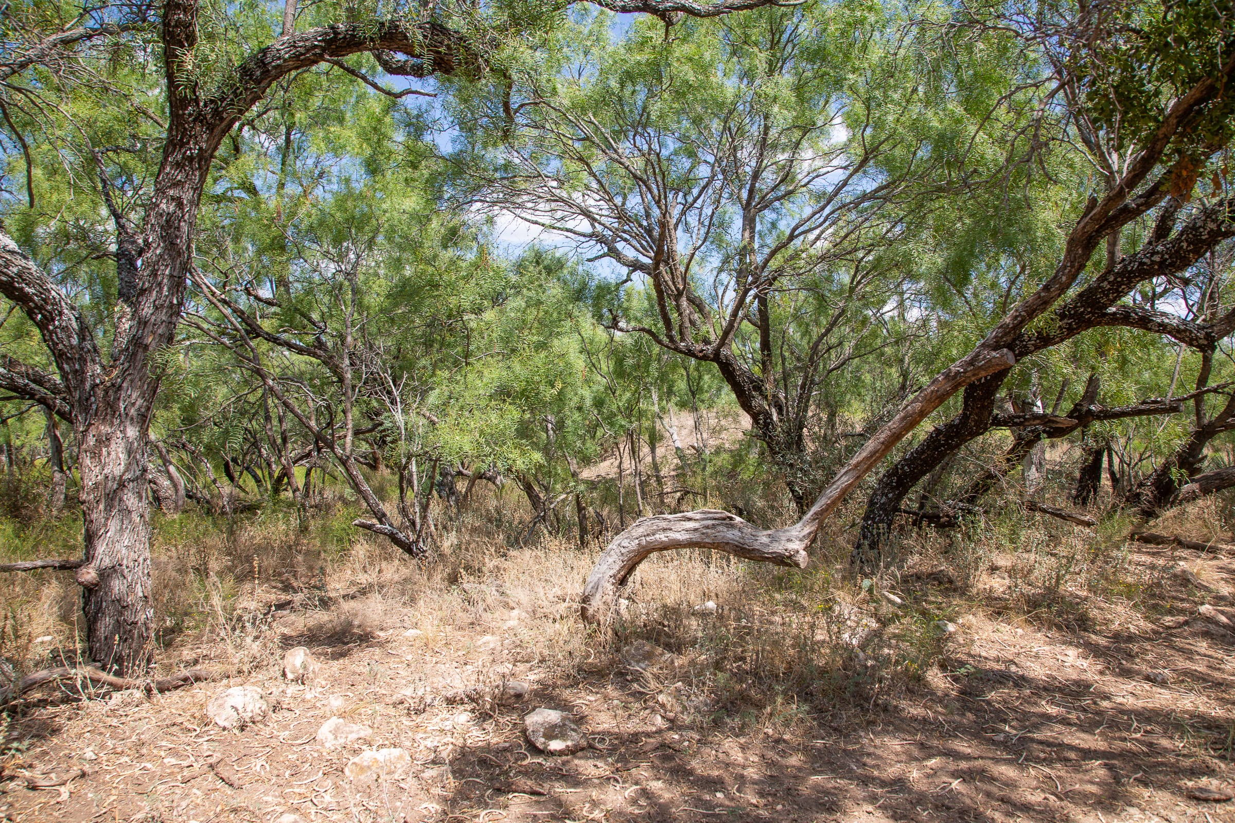 Hunter’s Ranch Tract 3 photo 10