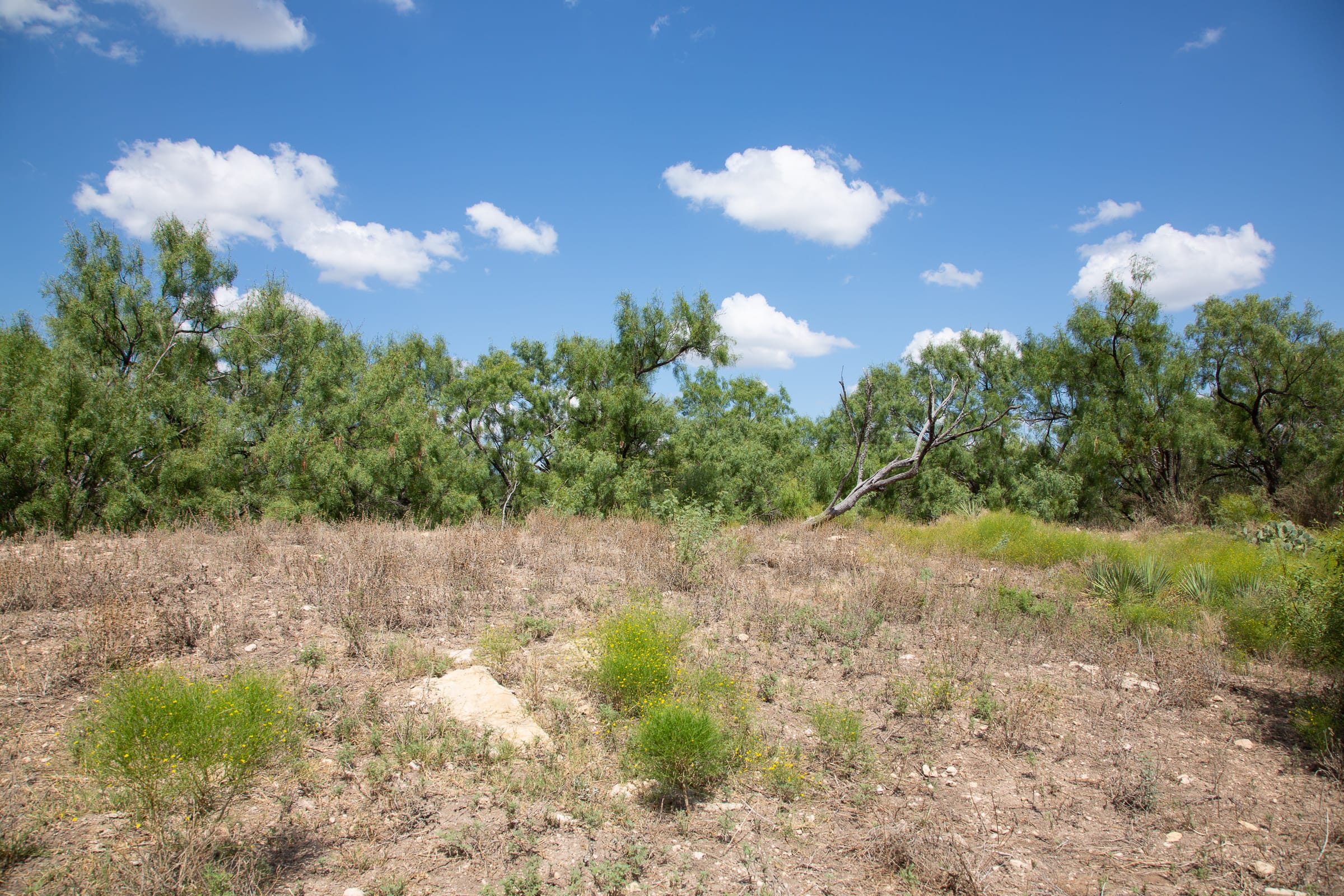 Hunter’s Ranch Tract 3 photo 11