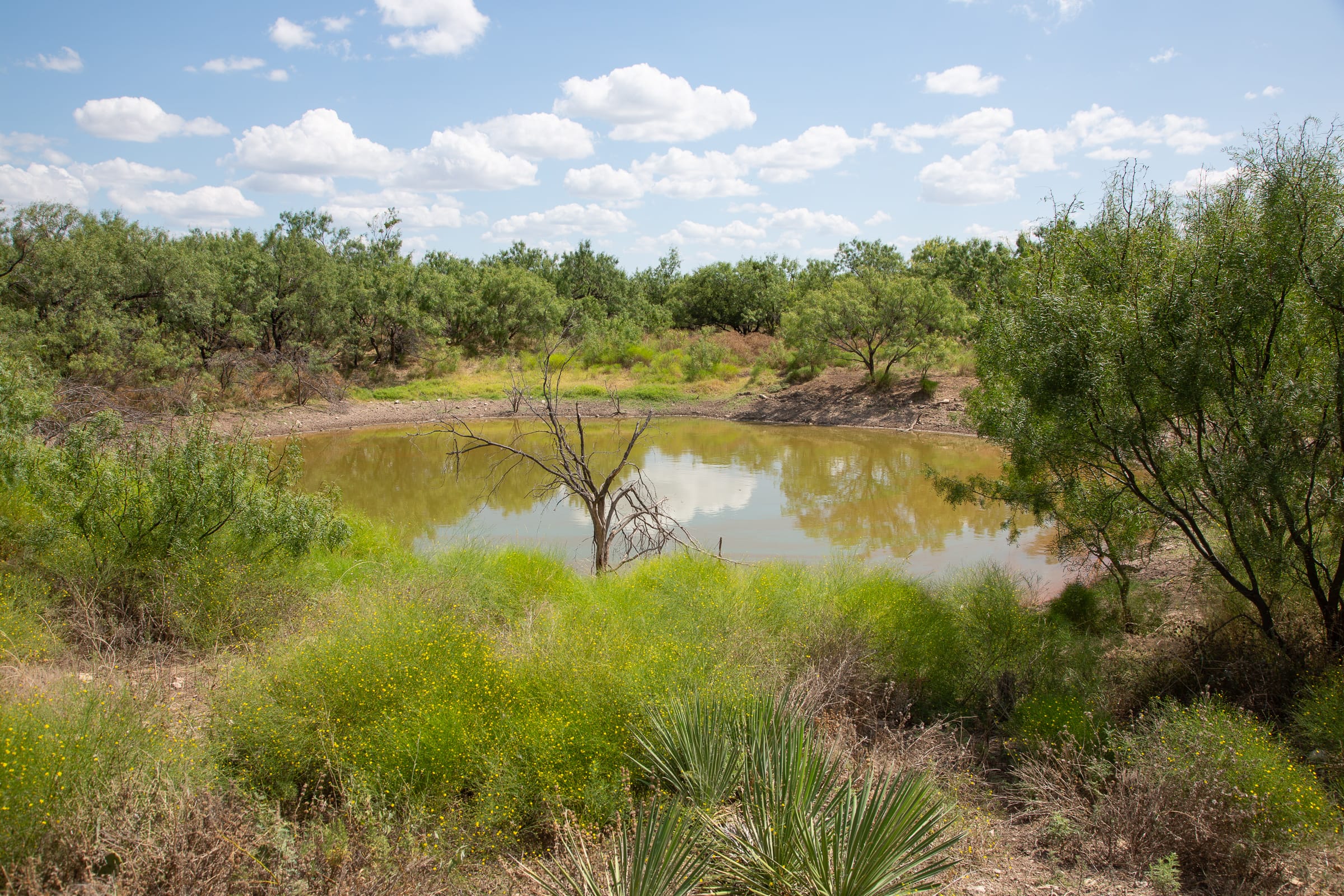 Hunter’s Ranch Tract 3 photo 12