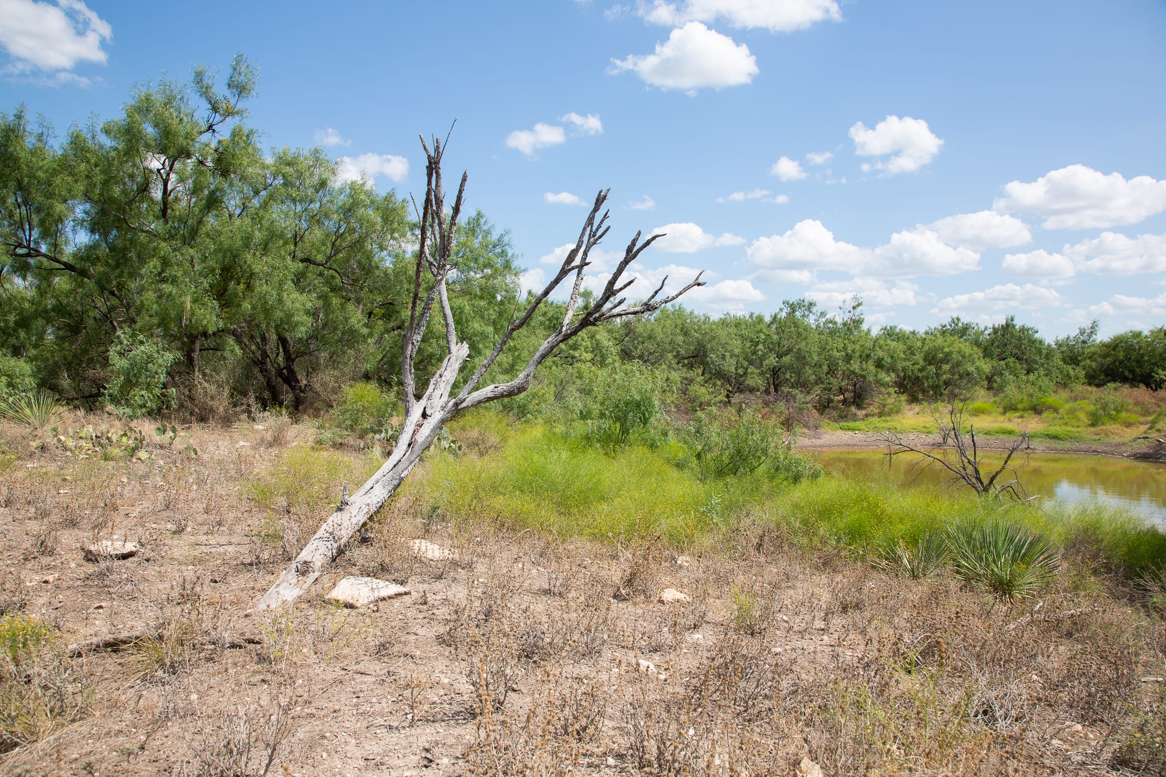 Hunter’s Ranch Tract 3 photo 13