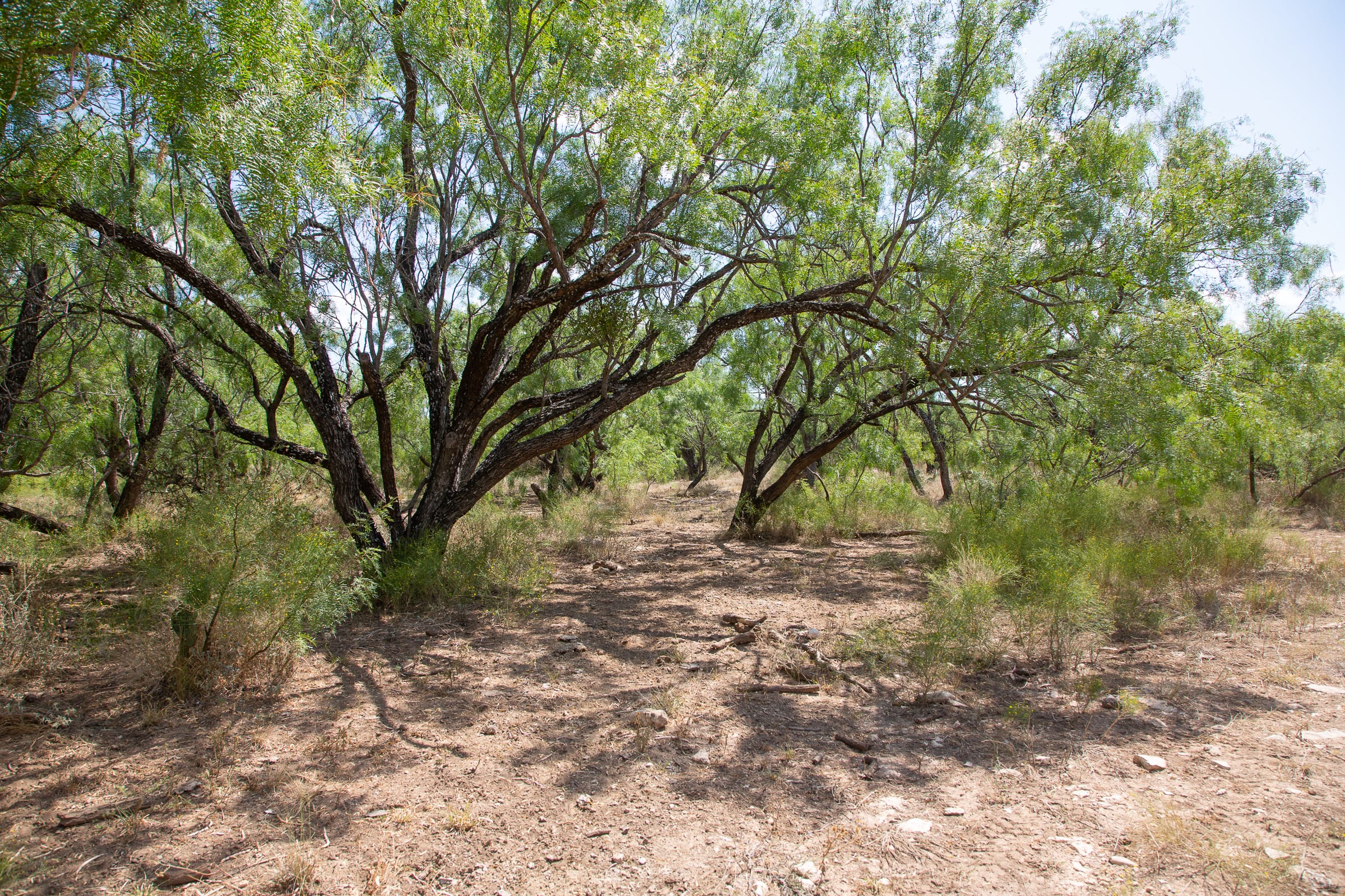 Hunter’s Ranch Tract 3 photo 20