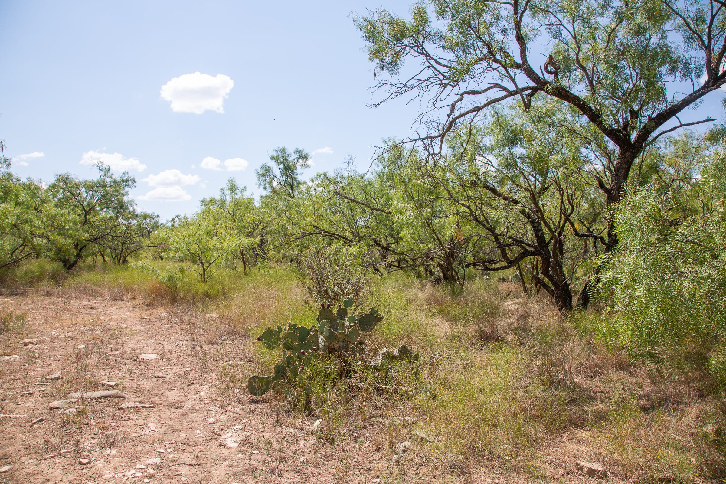 Hunter’s Ranch Tract 3 photo 21