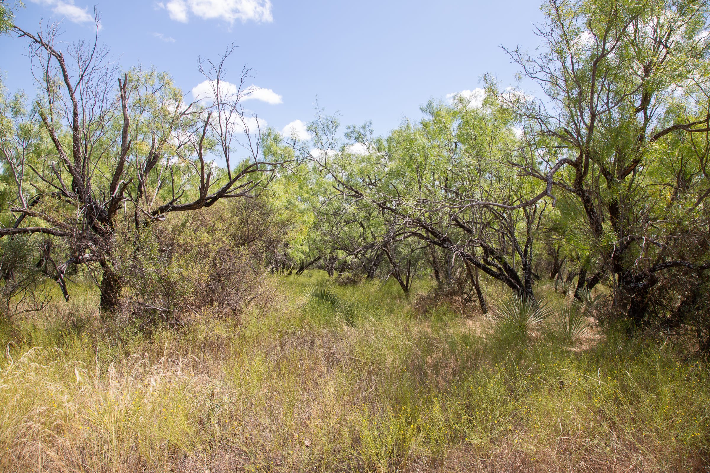 Hunter’s Ranch Tract 3 photo 25
