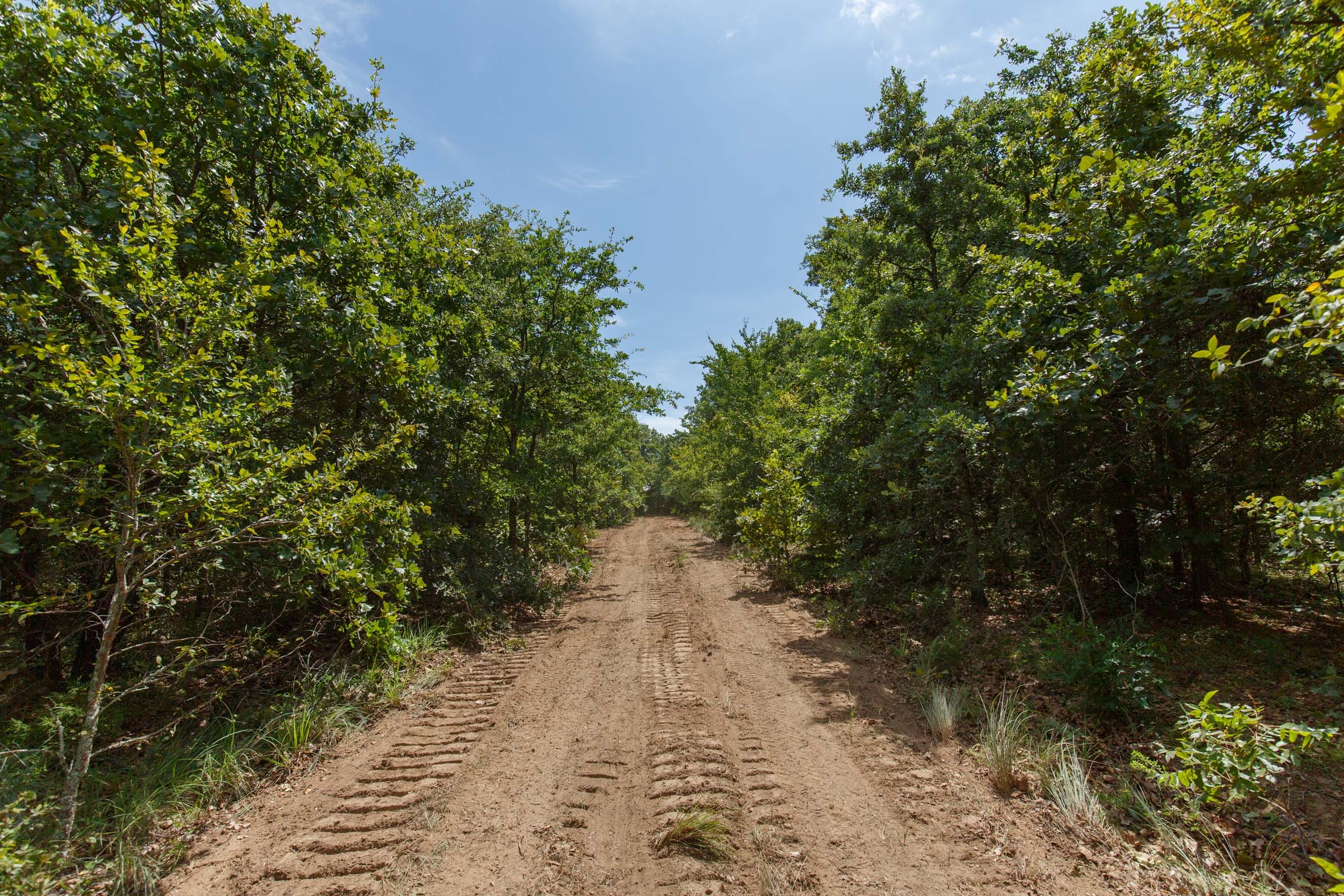 Timber Ridge Tract 29 photo 3