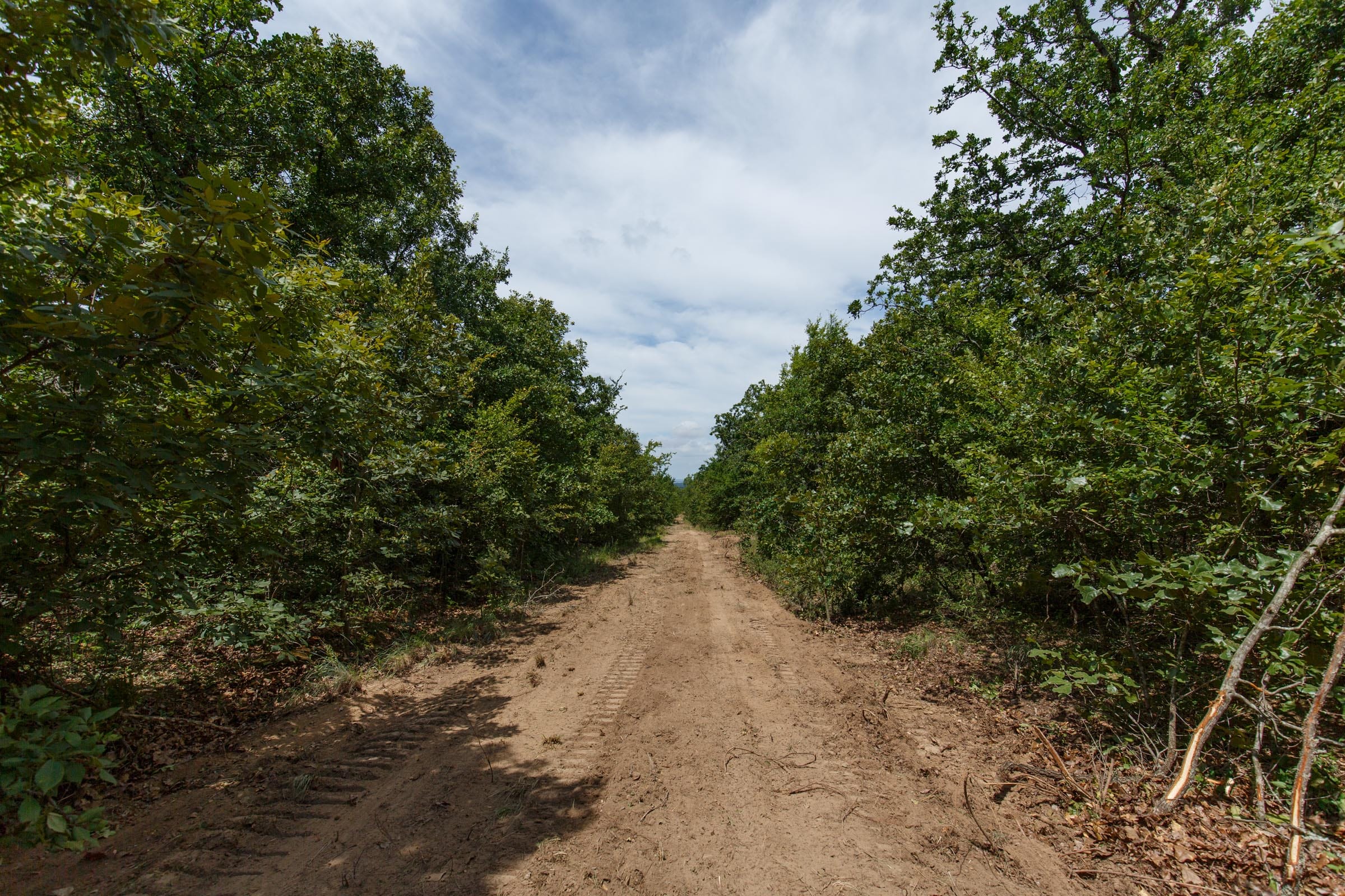 Timber Ridge Tract 29 photo 1