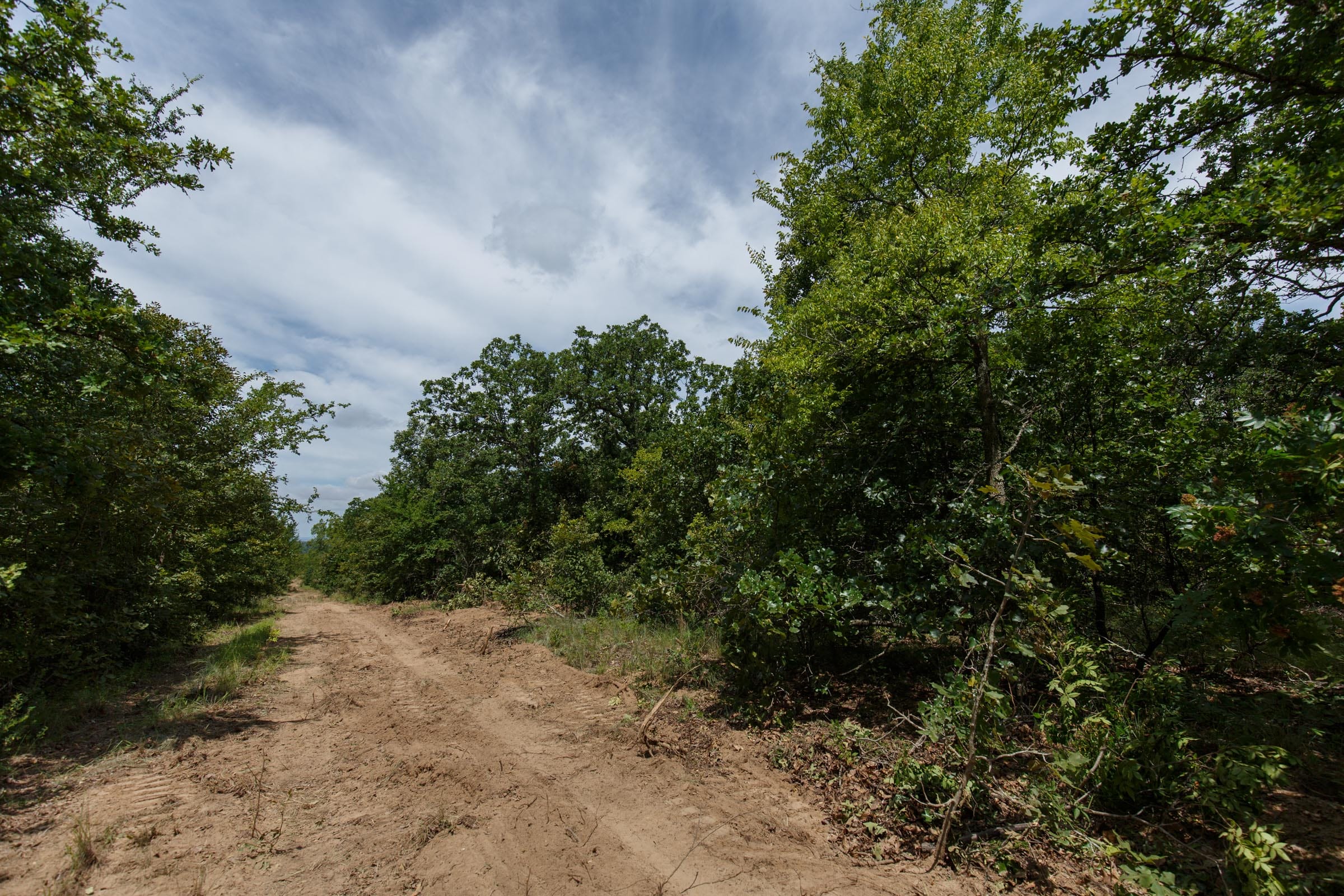 Timber Ridge Tract 29 photo 8
