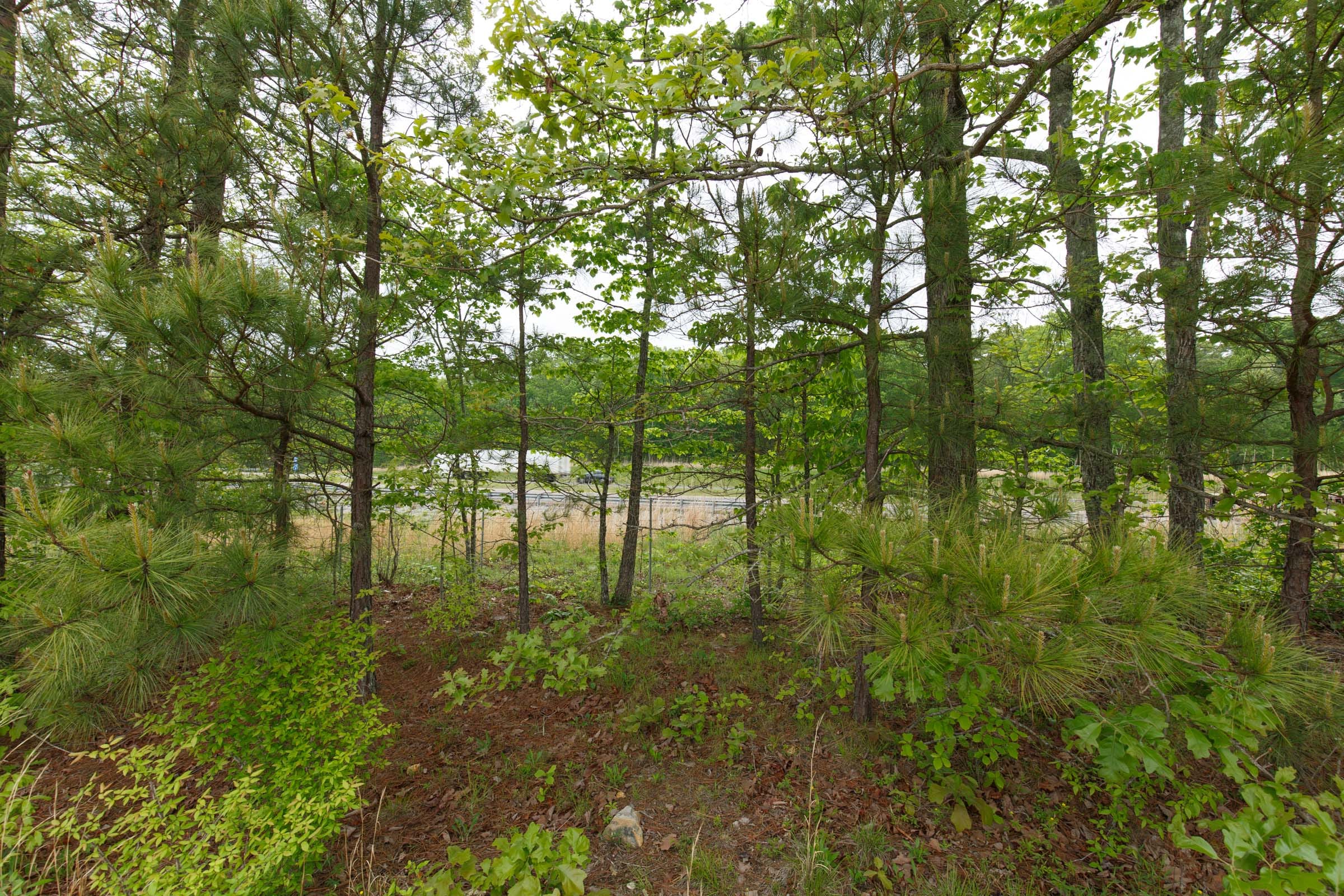 Red Barn Ranch Tract 9 photo 9