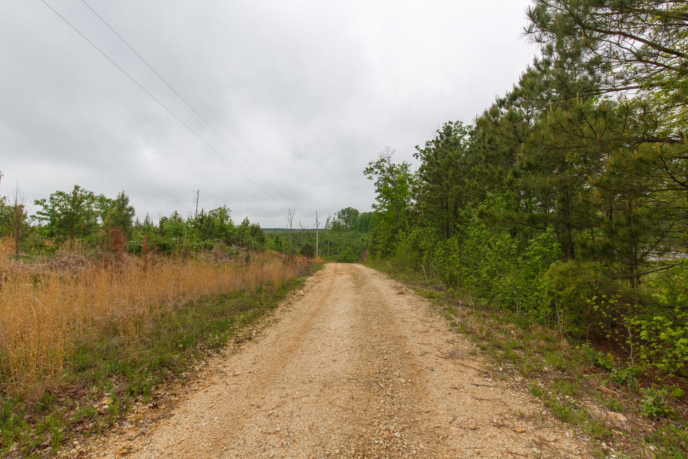 Red Barn Ranch Tract 9 photo 5