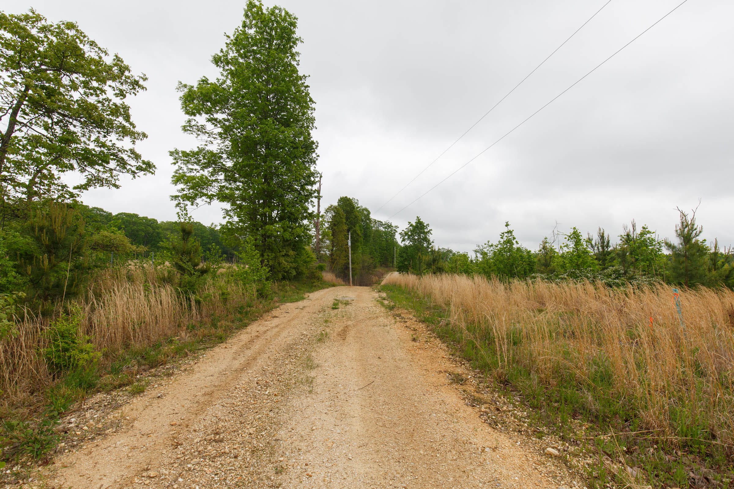 Red Barn Ranch Tract 9 photo 8