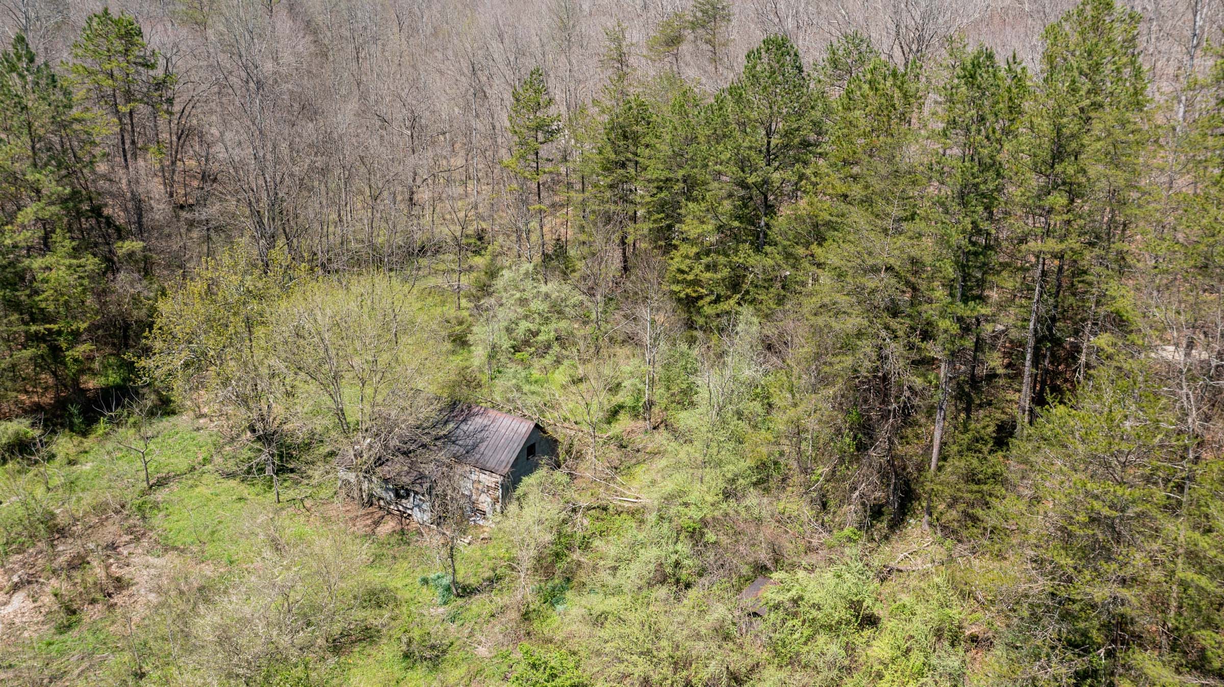 Woodland Heights Tract 13 photo 7