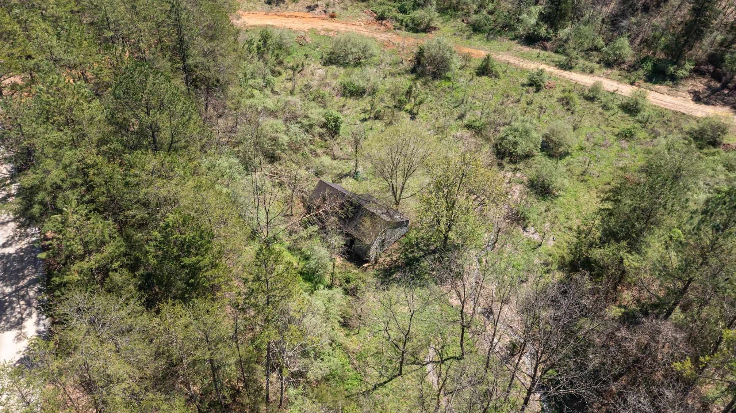 Woodland Heights Tract 13 photo 6
