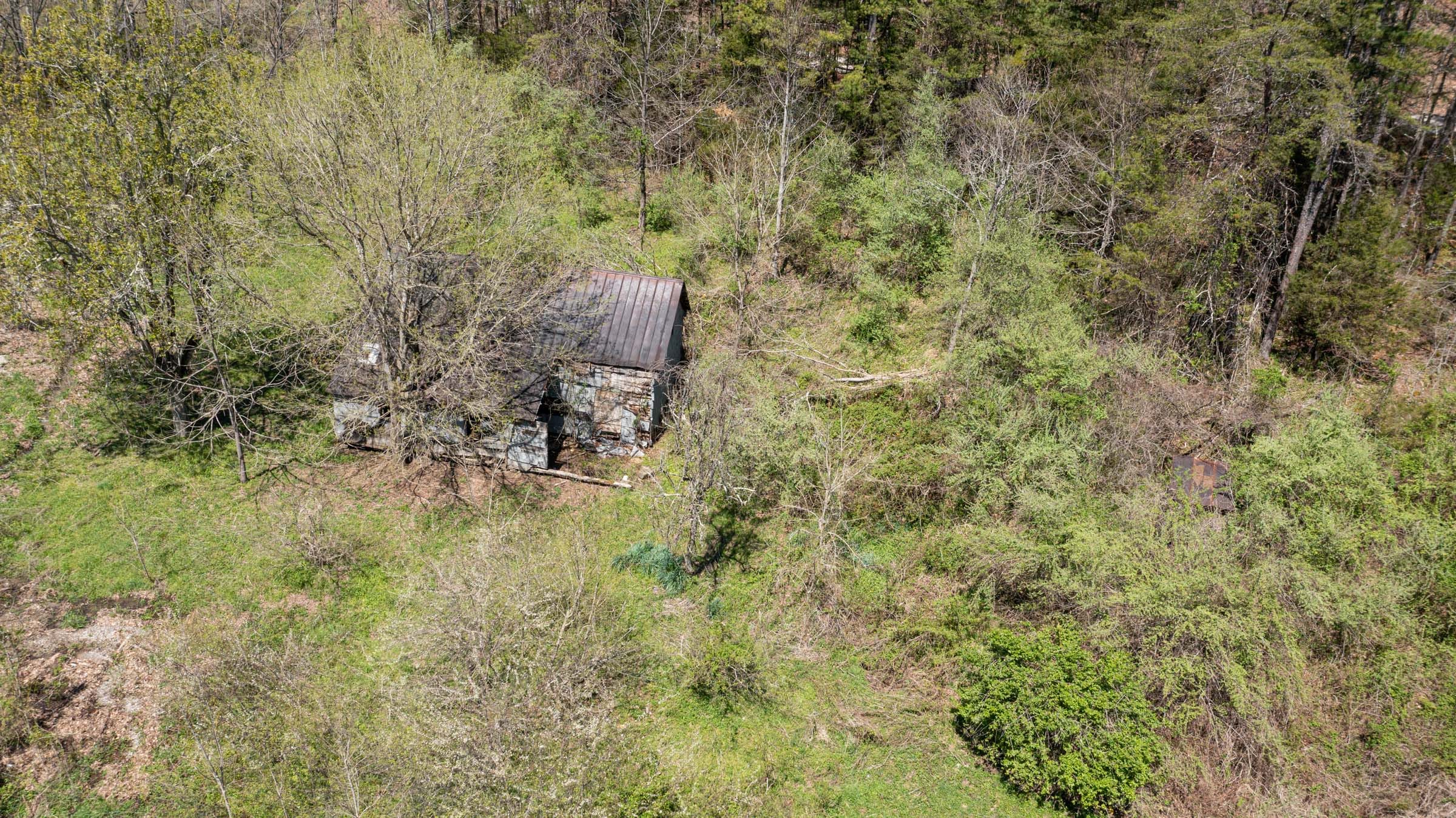 Woodland Heights Tract 13 photo 5