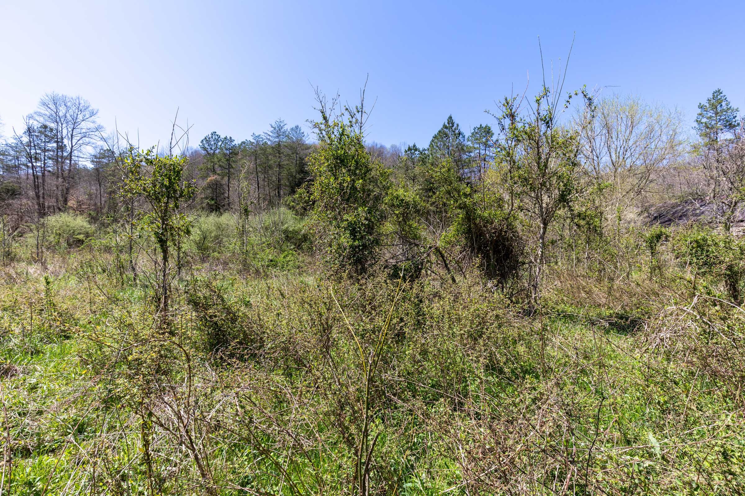 Woodland Heights Tract 13 photo 12