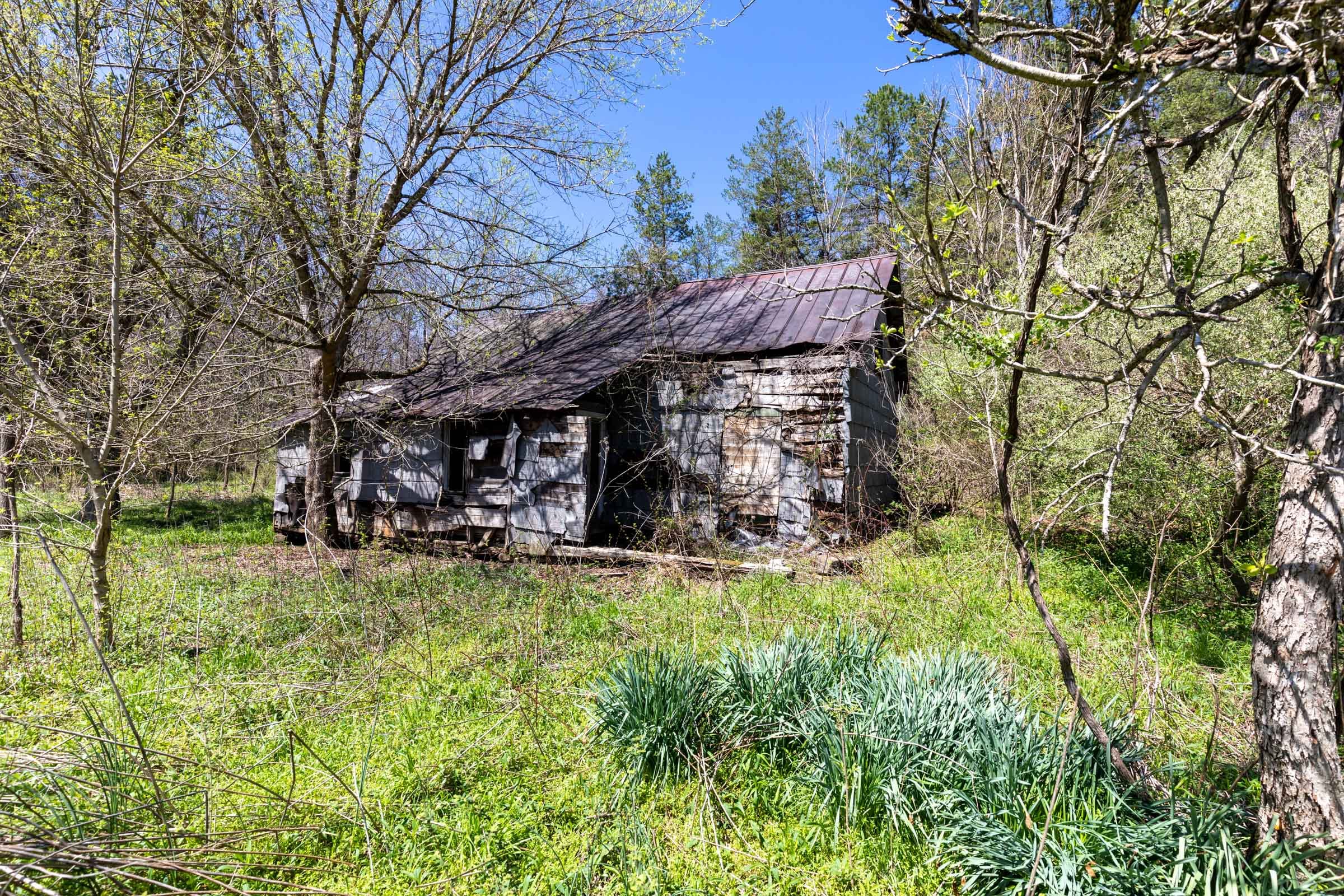 Woodland Heights Tract 13 photo 3