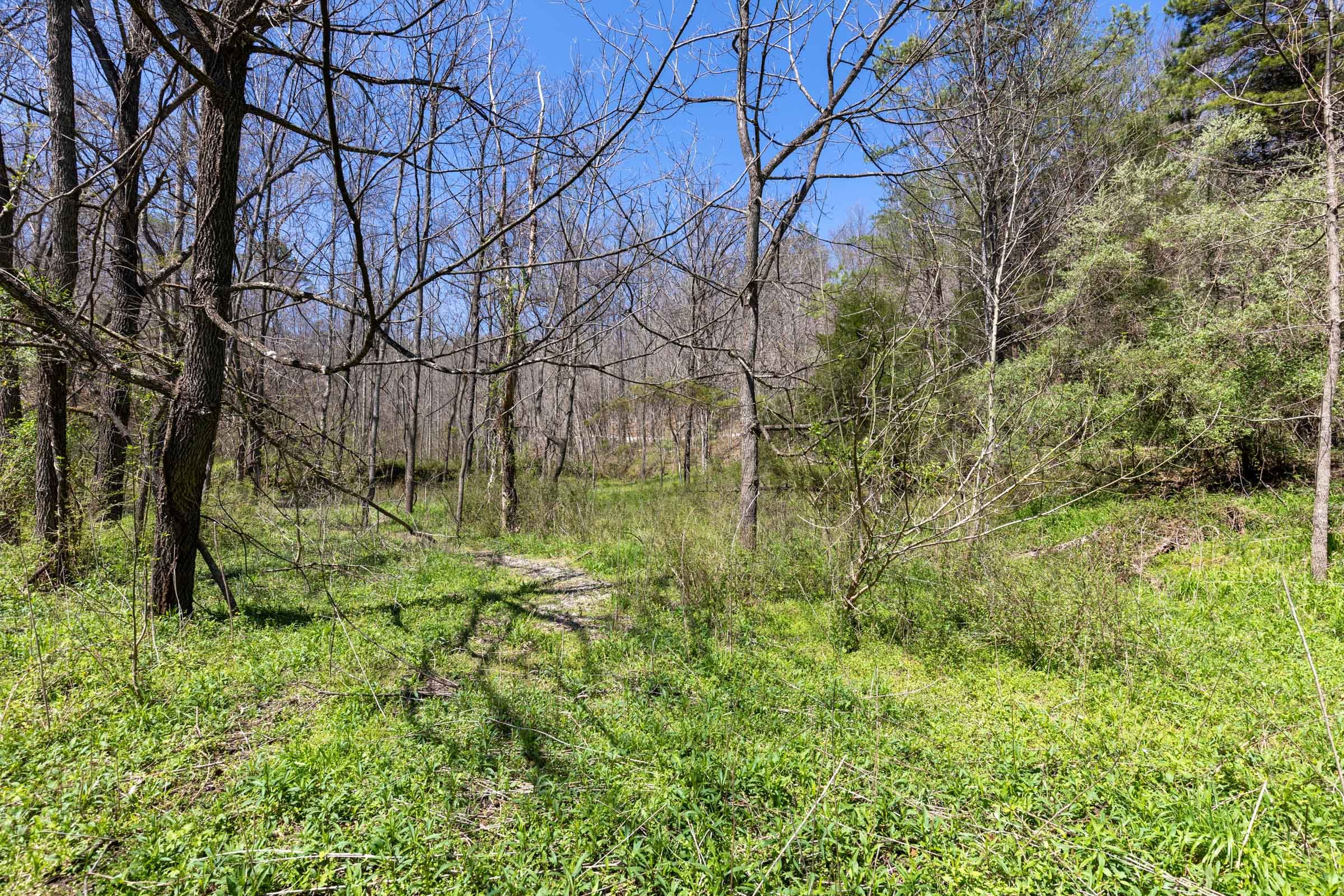 Woodland Heights Tract 13 photo 13