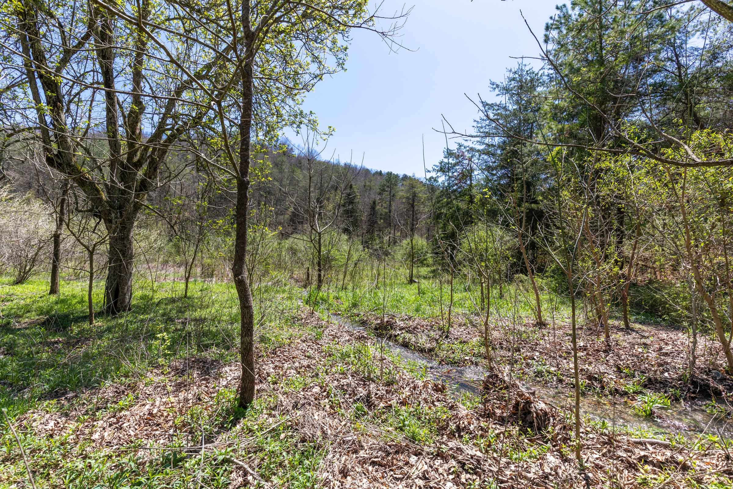 Woodland Heights Tract 13 photo 11