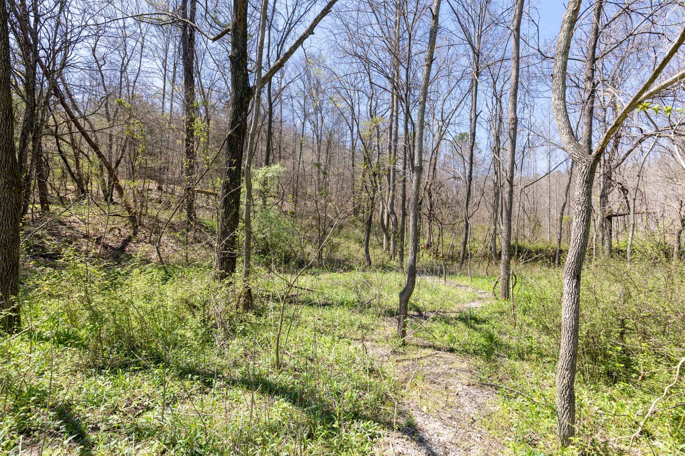 Woodland Heights Tract 13 photo 15