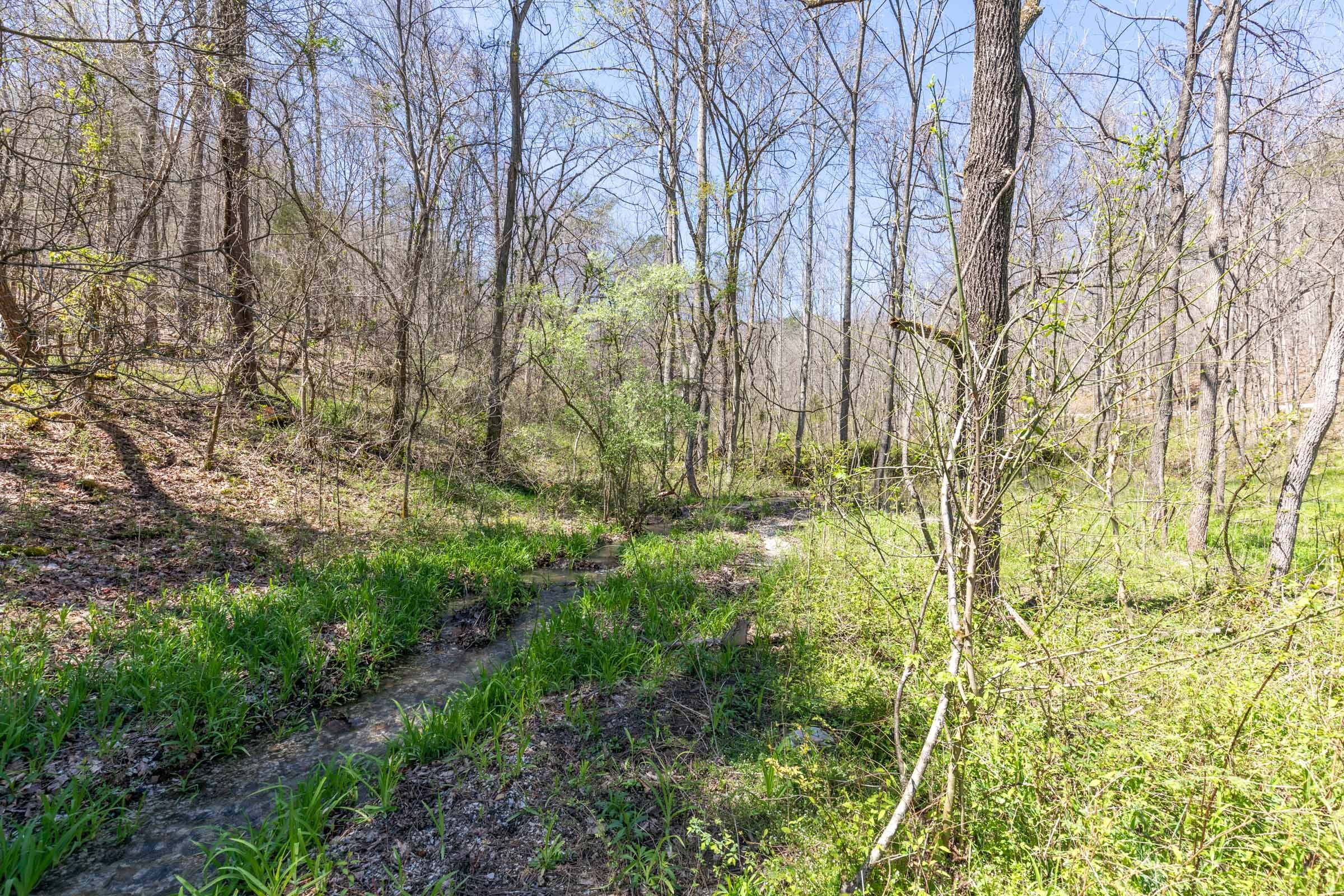 Woodland Heights Tract 13 photo 14
