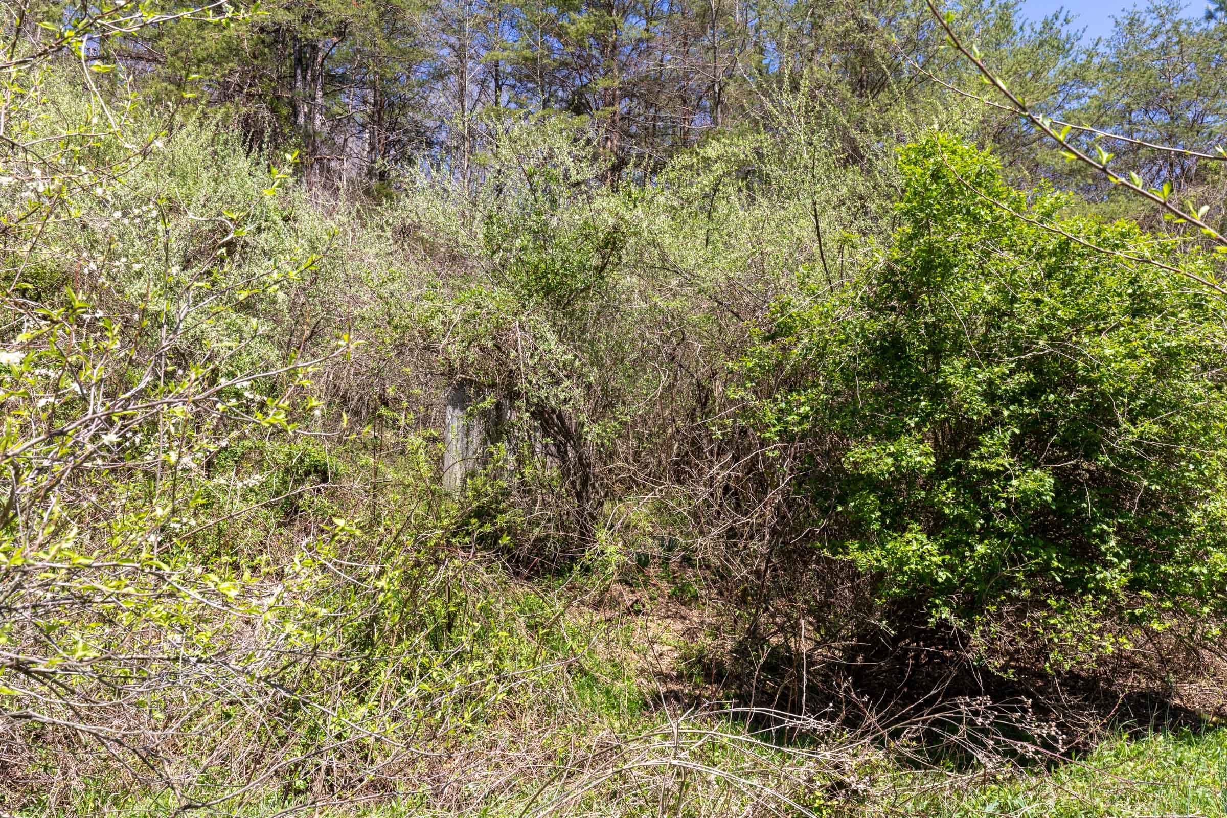 Woodland Heights Tract 13 photo 17