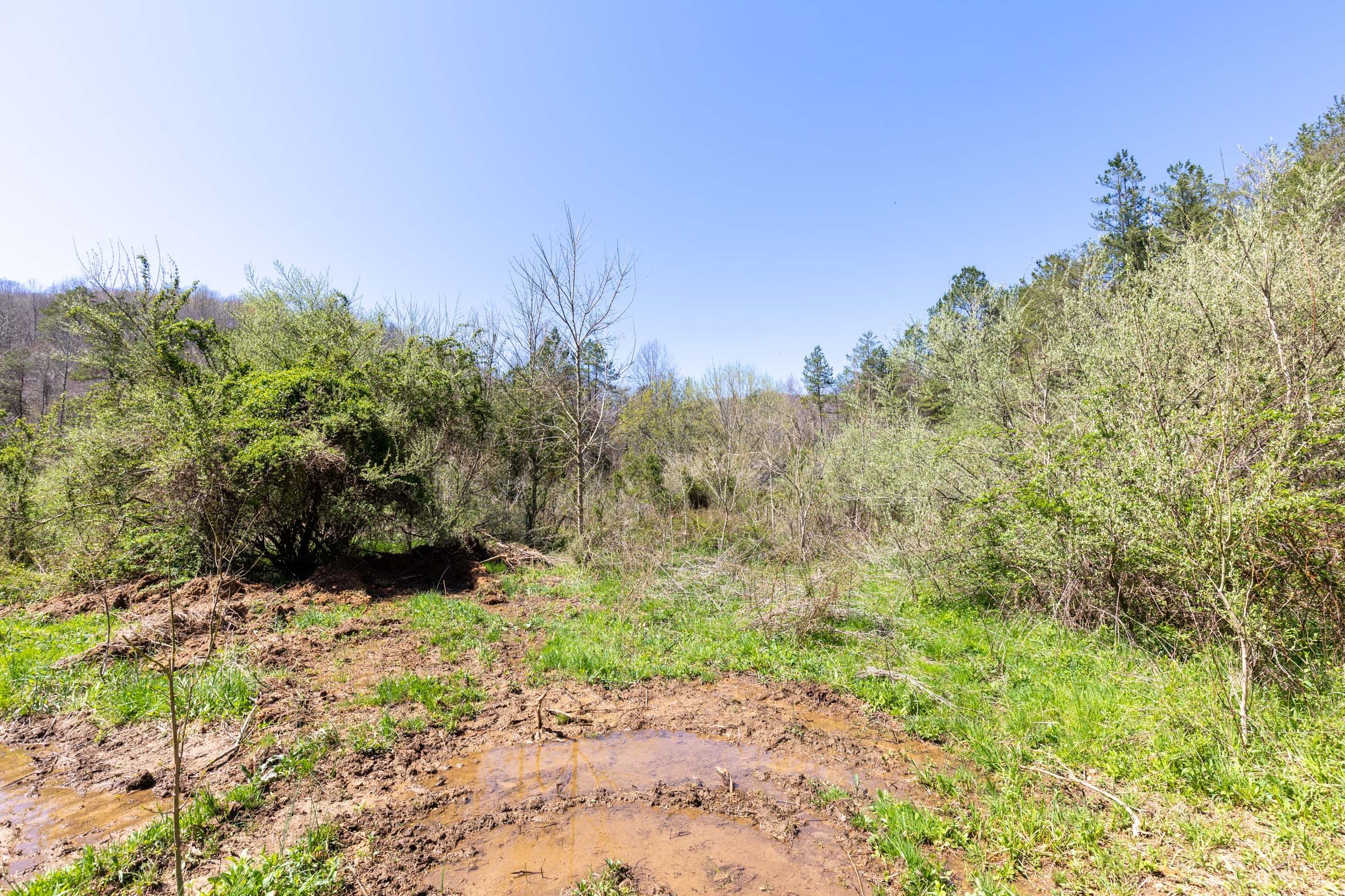 Woodland Heights Tract 13 photo 19