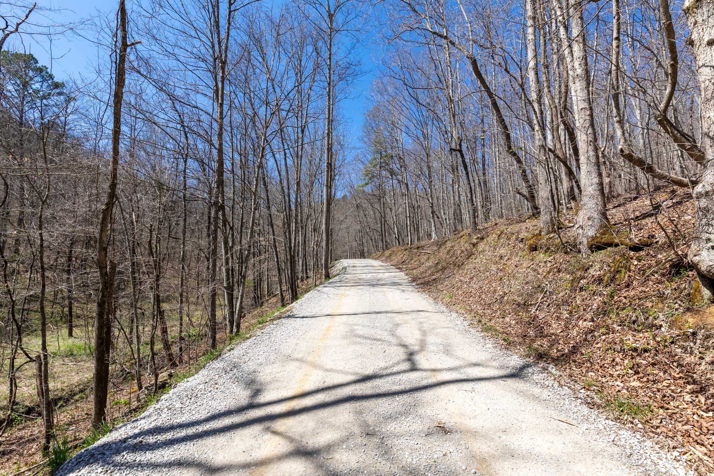 Woodland Heights Tract 13 photo 16