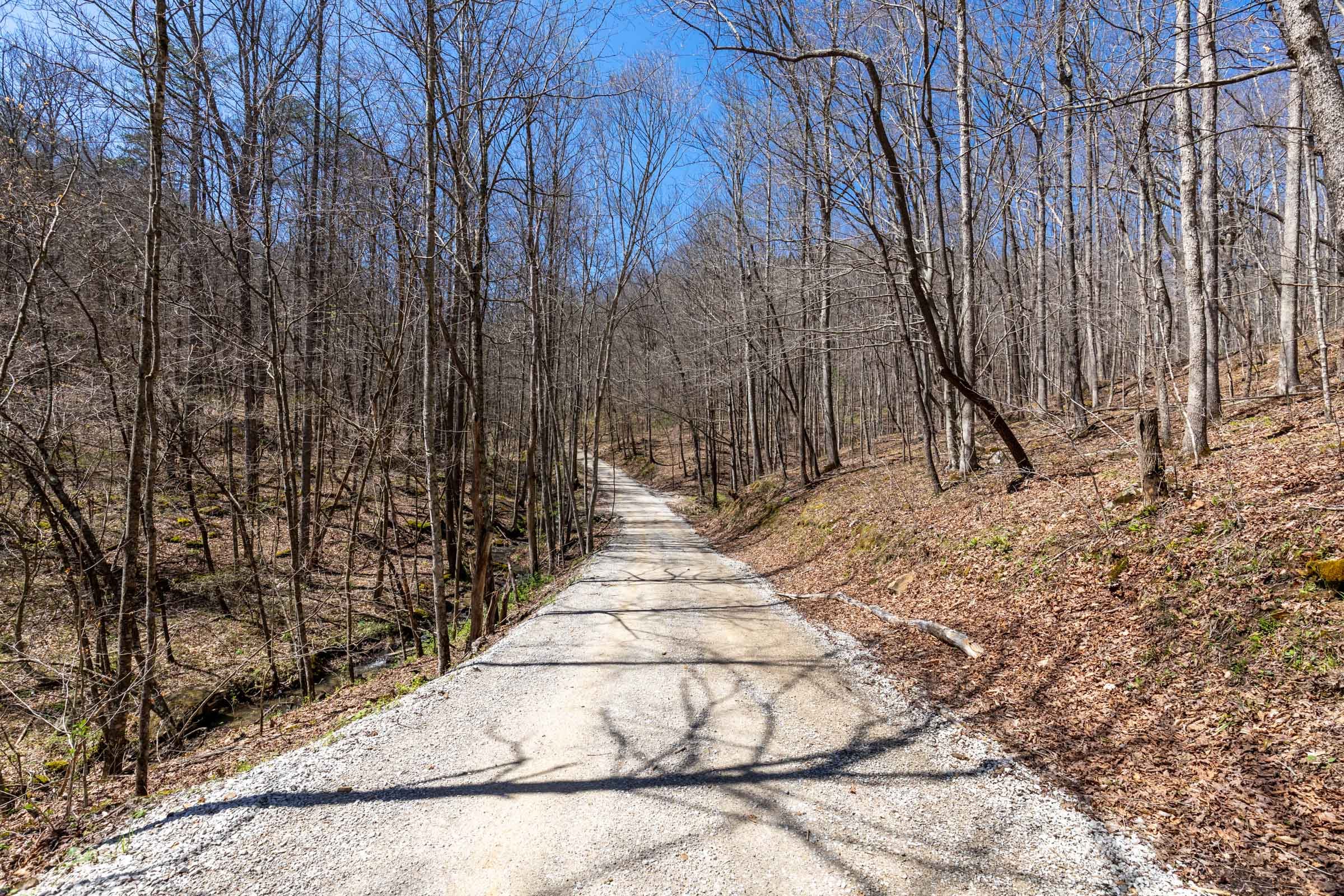 Woodland Heights Tract 13 photo 1